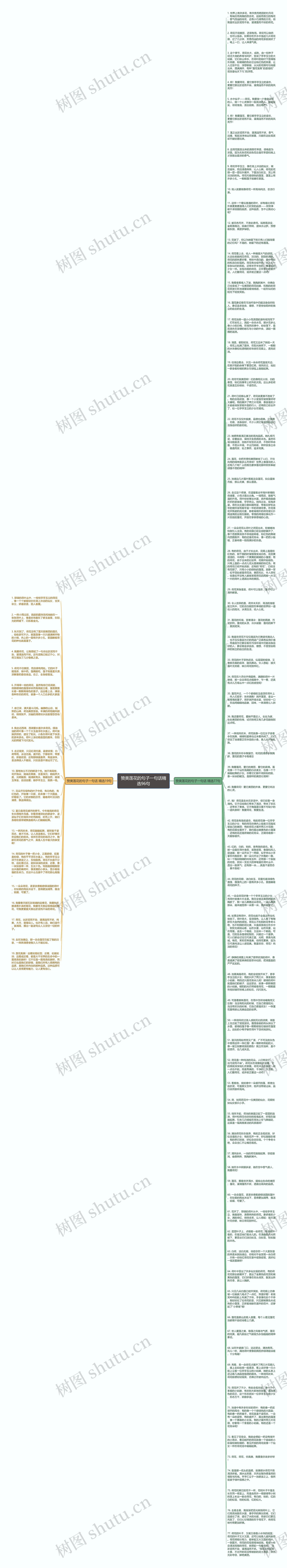赞美莲花的句子一句话精选96句思维导图
