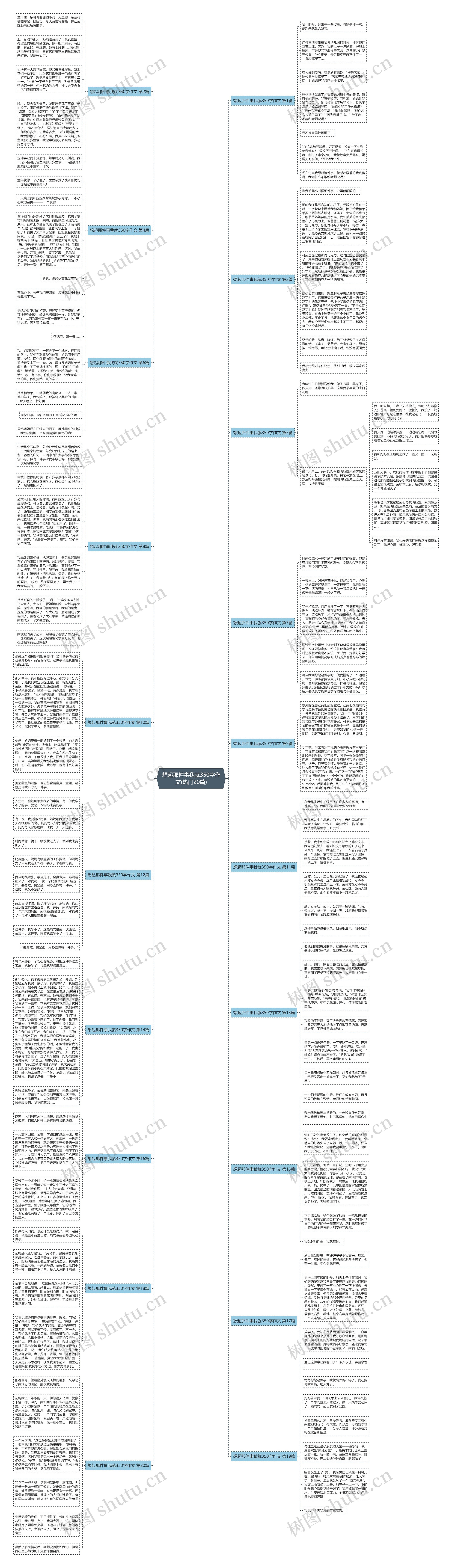 想起那件事我就350字作文(热门20篇)思维导图