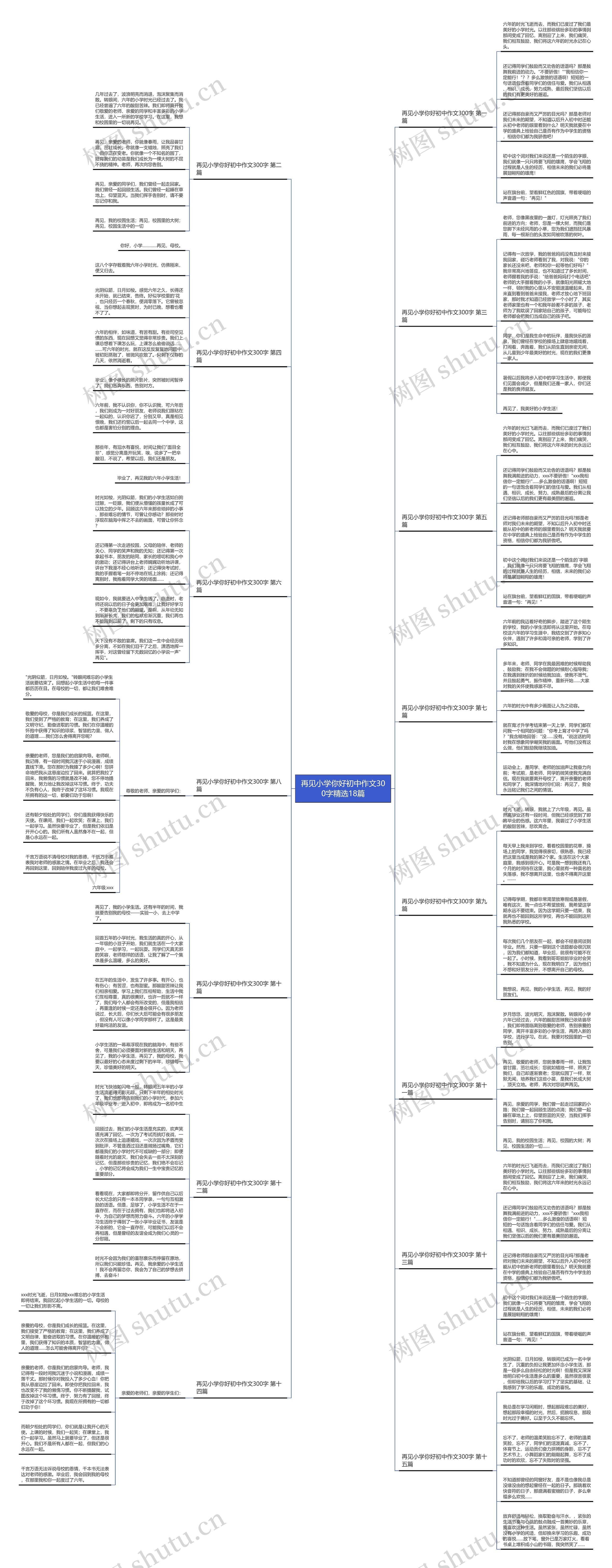 再见小学你好初中作文300字精选18篇思维导图