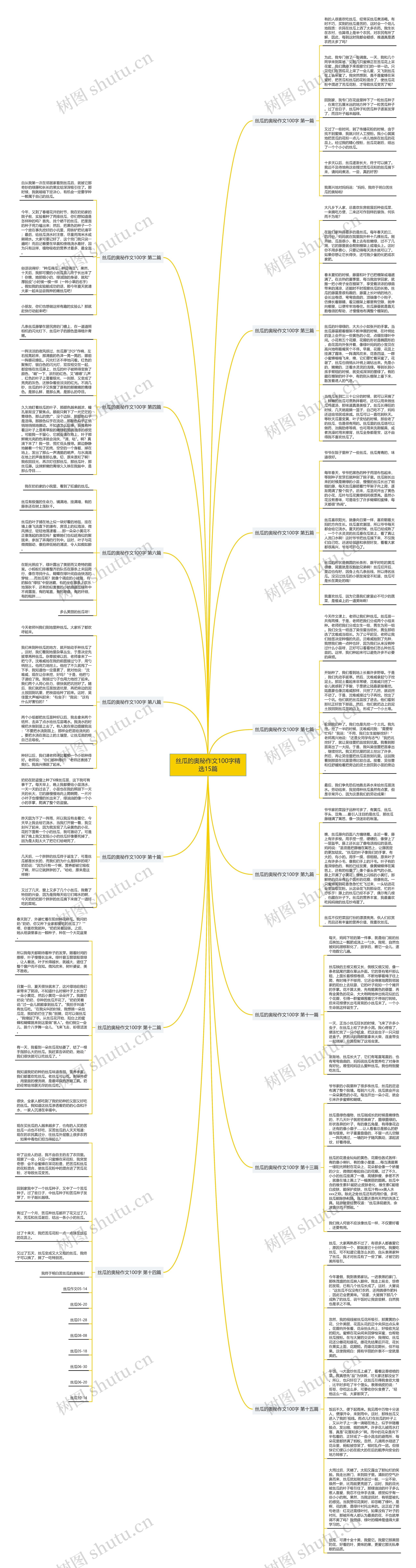 丝瓜的奥秘作文100字精选15篇思维导图