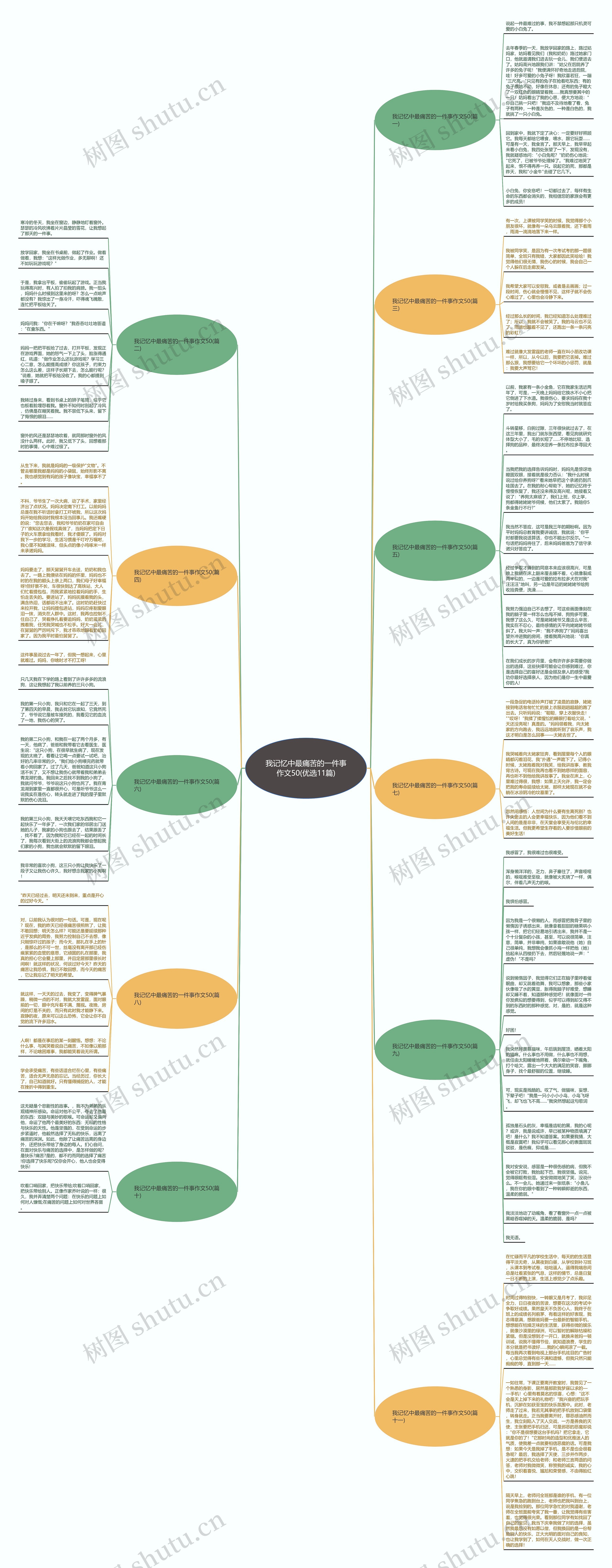 我记忆中最痛苦的一件事作文50(优选11篇)思维导图