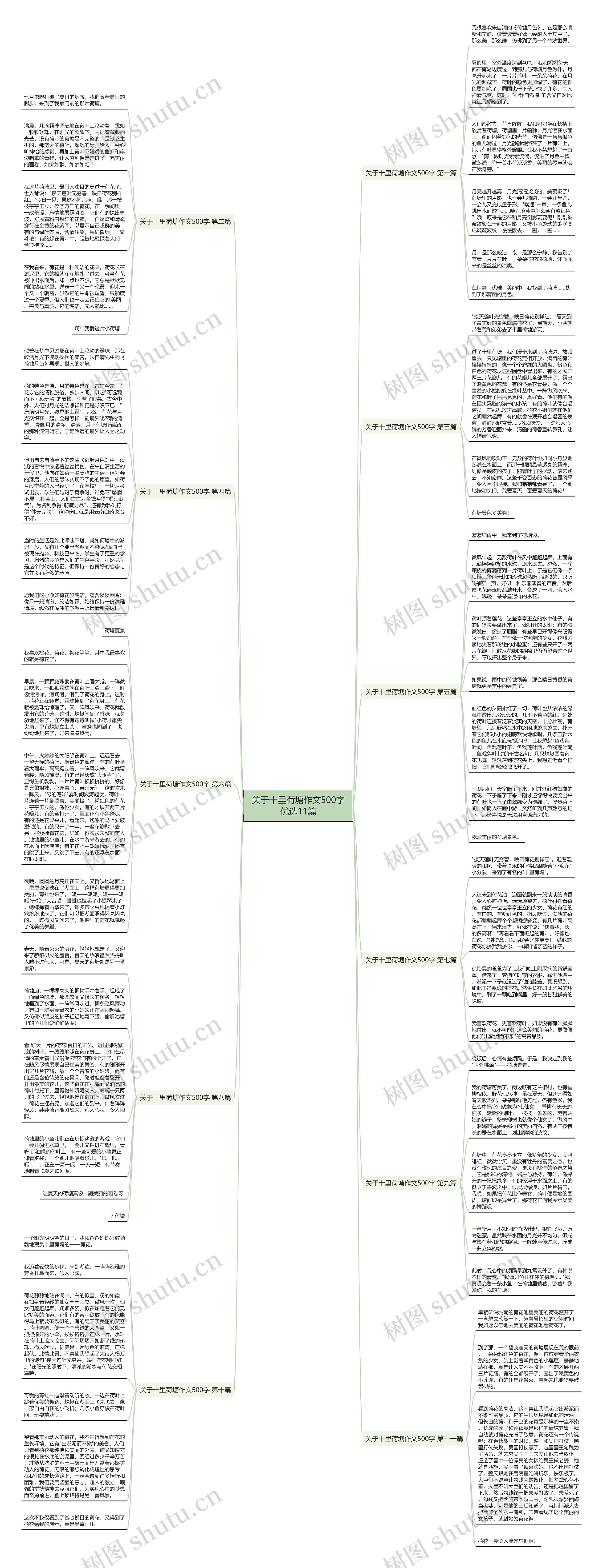 关于十里荷塘作文500字优选11篇思维导图