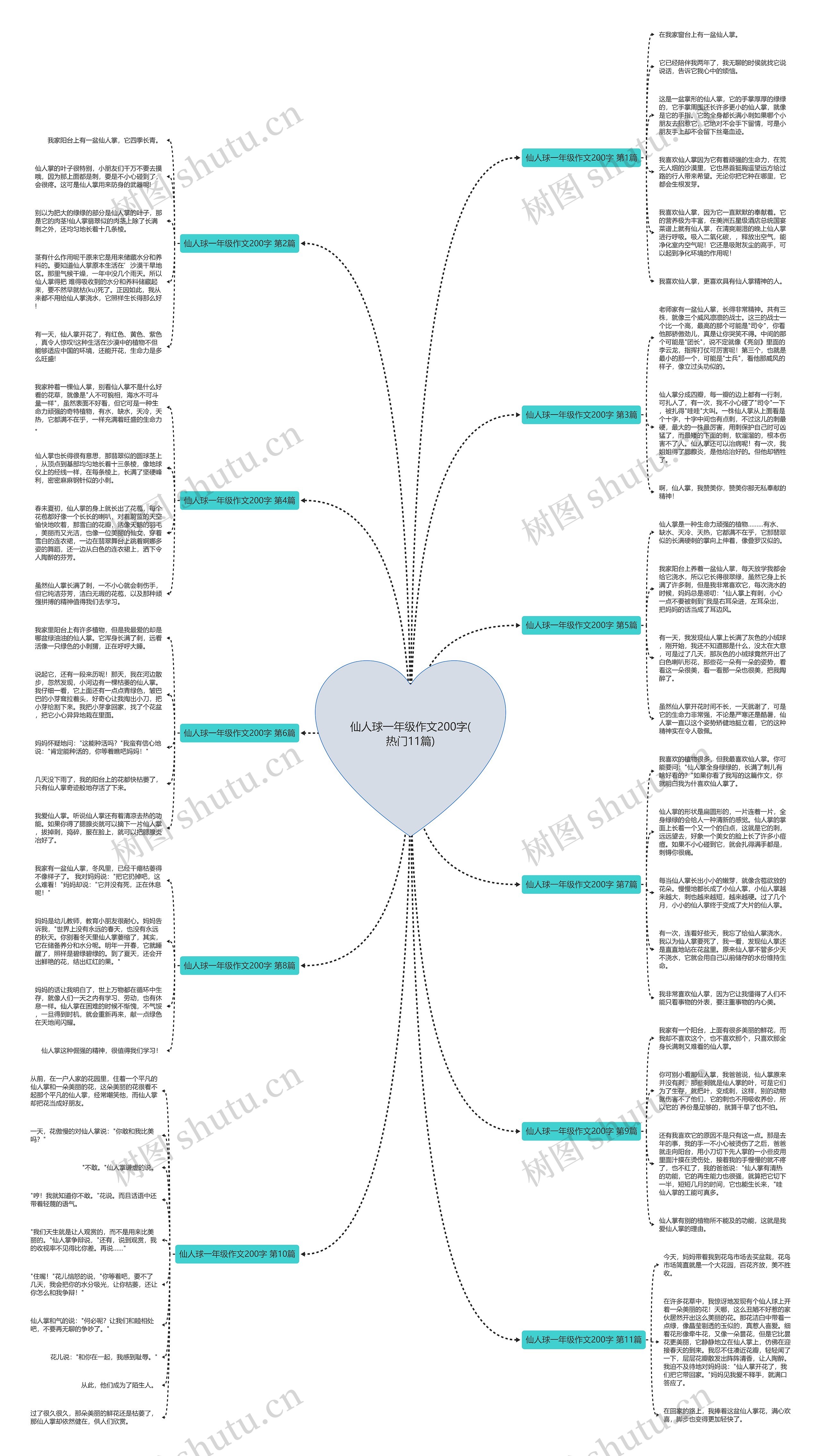 仙人球一年级作文200字(热门11篇)思维导图