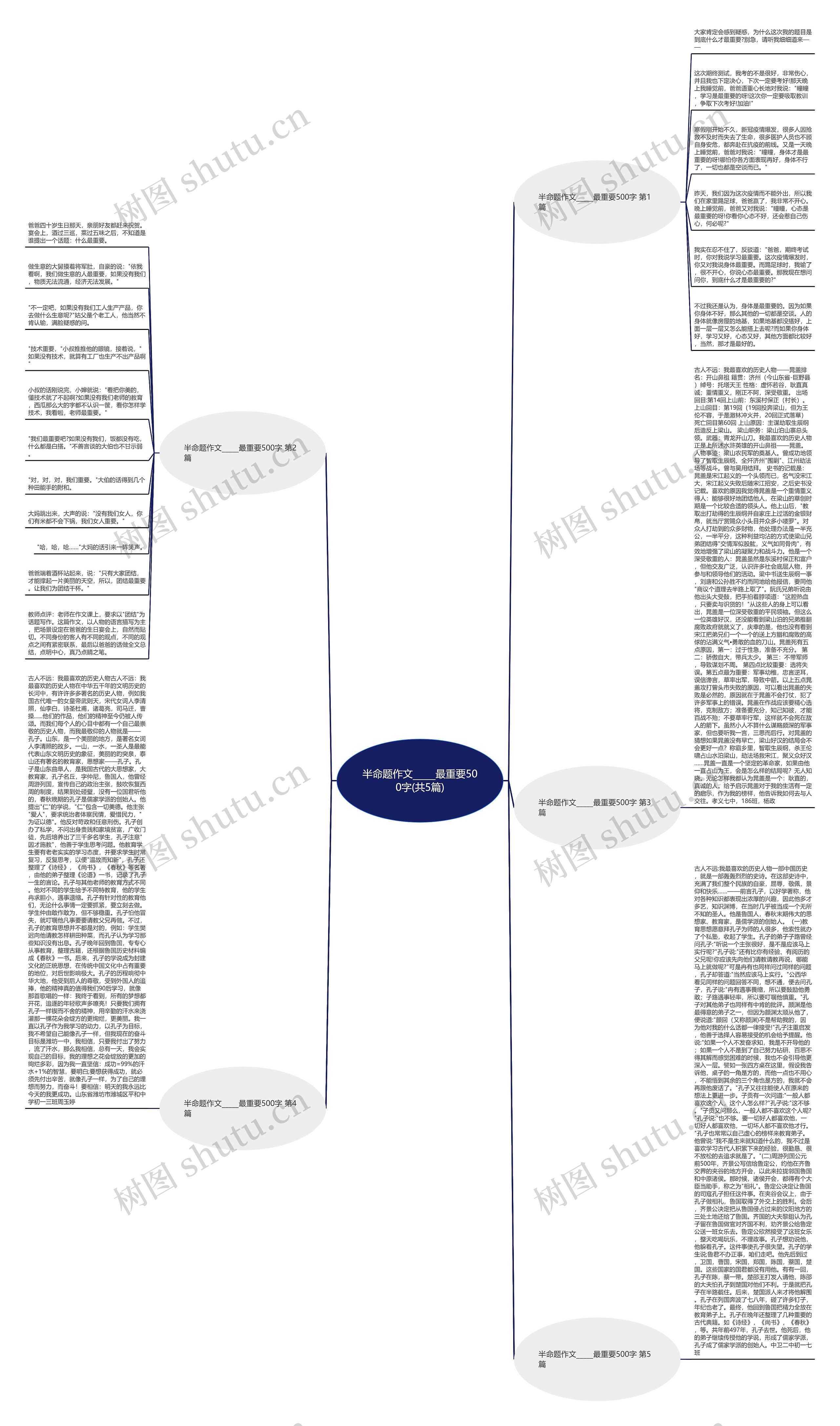 半命题作文_____最重要500字(共5篇)思维导图