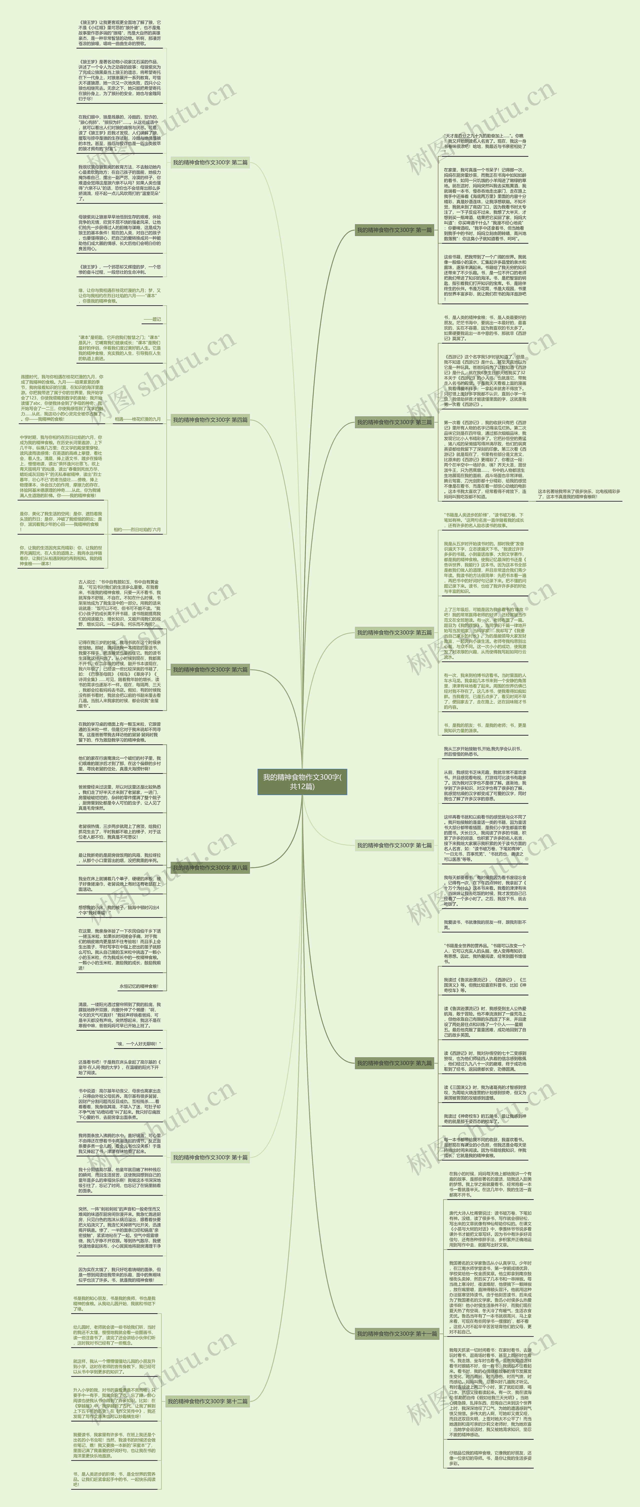 我的精神食物作文300字(共12篇)思维导图