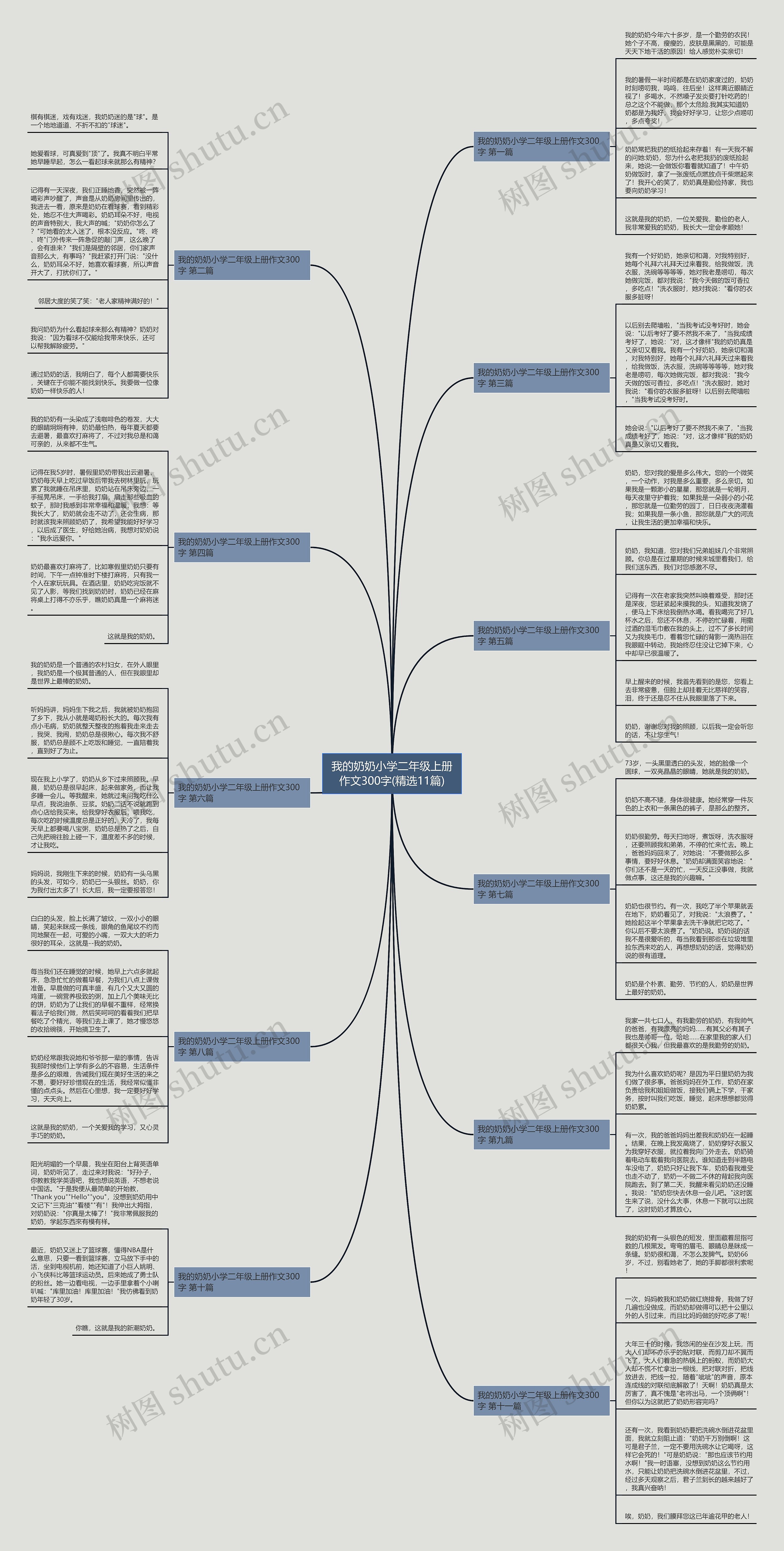 我的奶奶小学二年级上册作文300字(精选11篇)思维导图