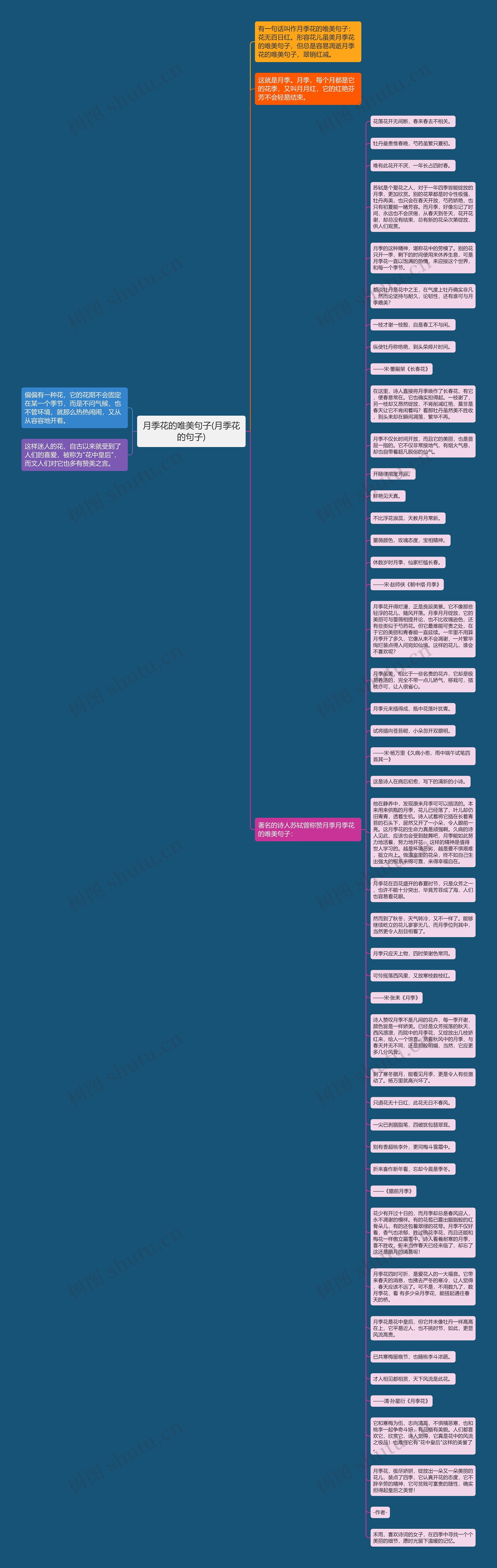 月季花的唯美句子(月季花的句子)思维导图