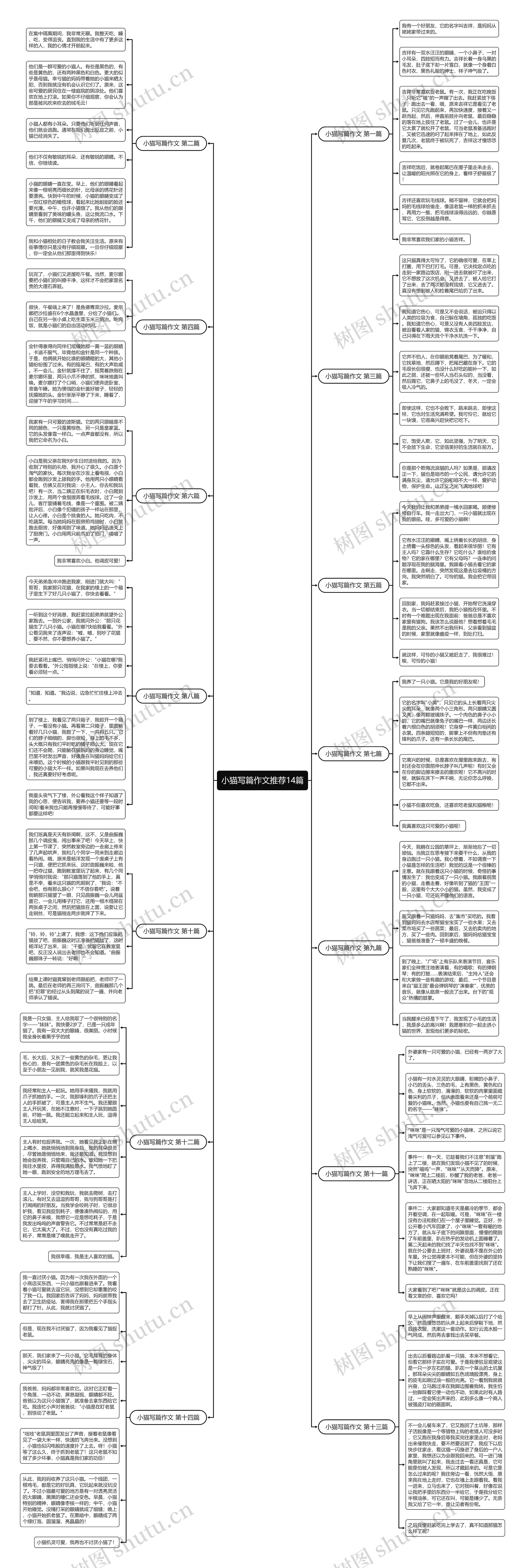 小猫写篇作文推荐14篇 小猫写篇作文推荐14篇