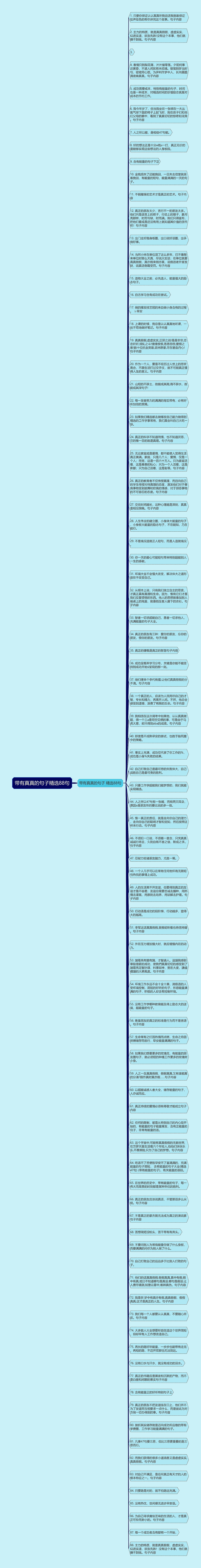 带有真真的句子精选88句思维导图