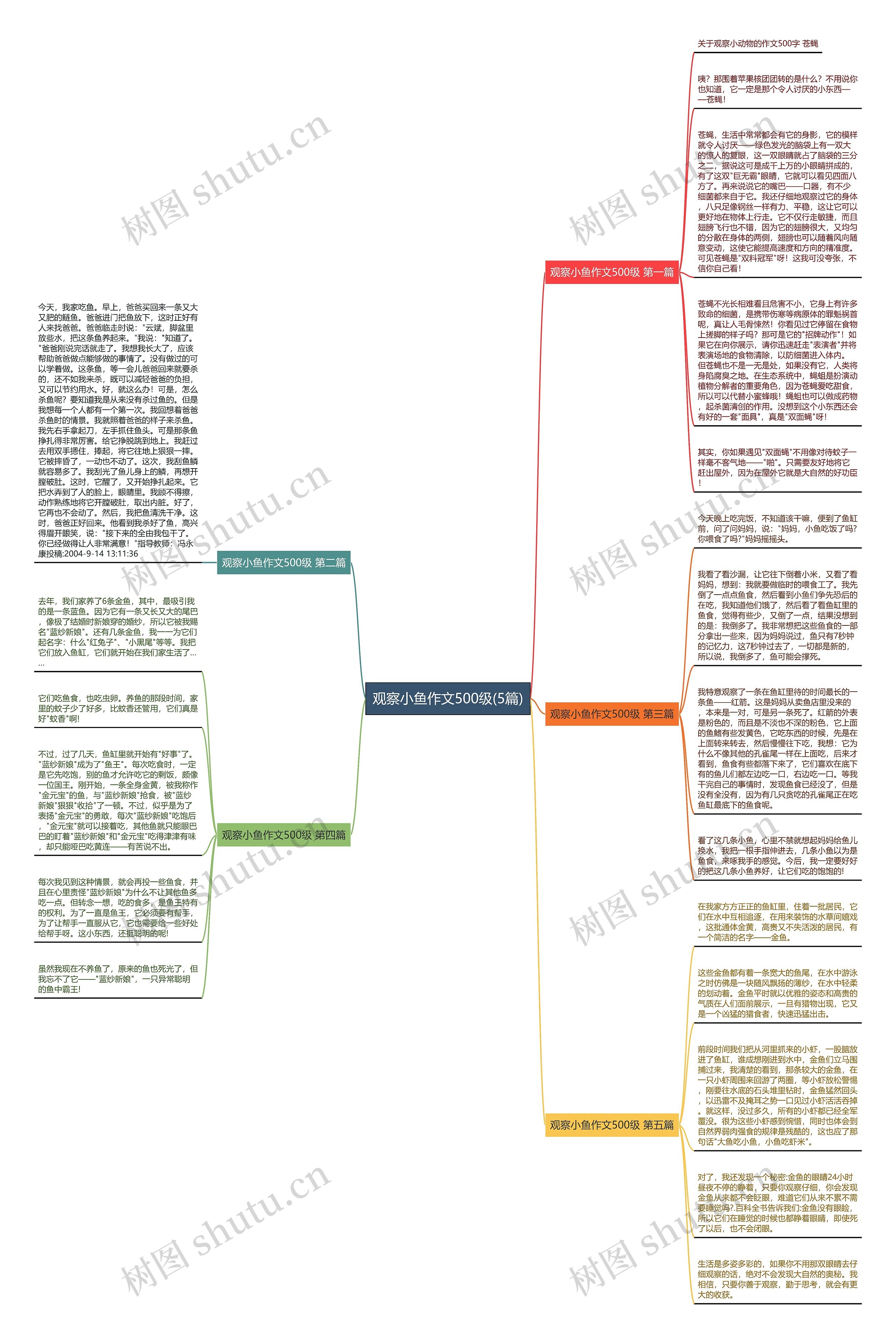 观察小鱼作文500级(5篇)思维导图