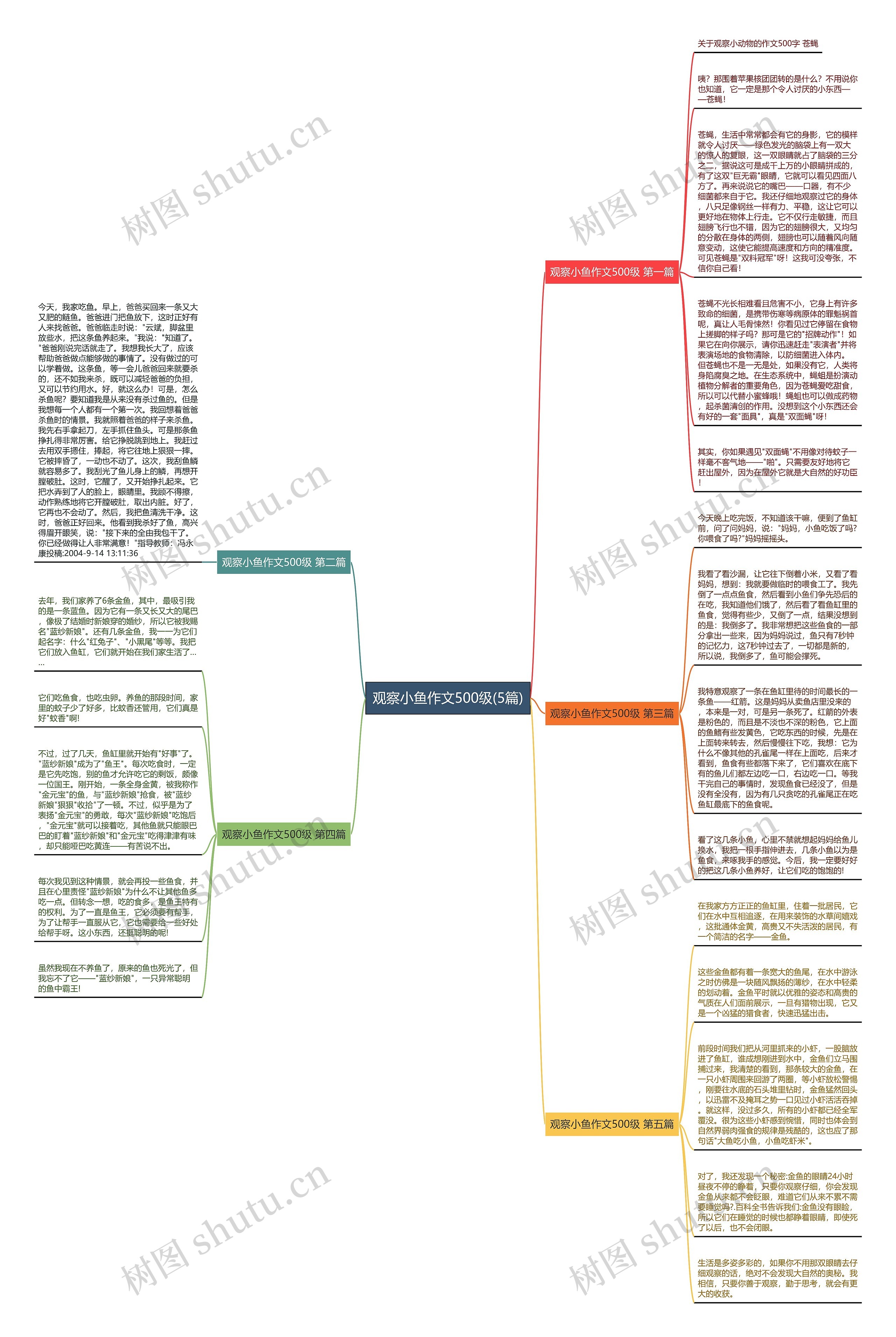 观察小鱼作文500级(5篇) 观察小鱼作文500级(5篇)