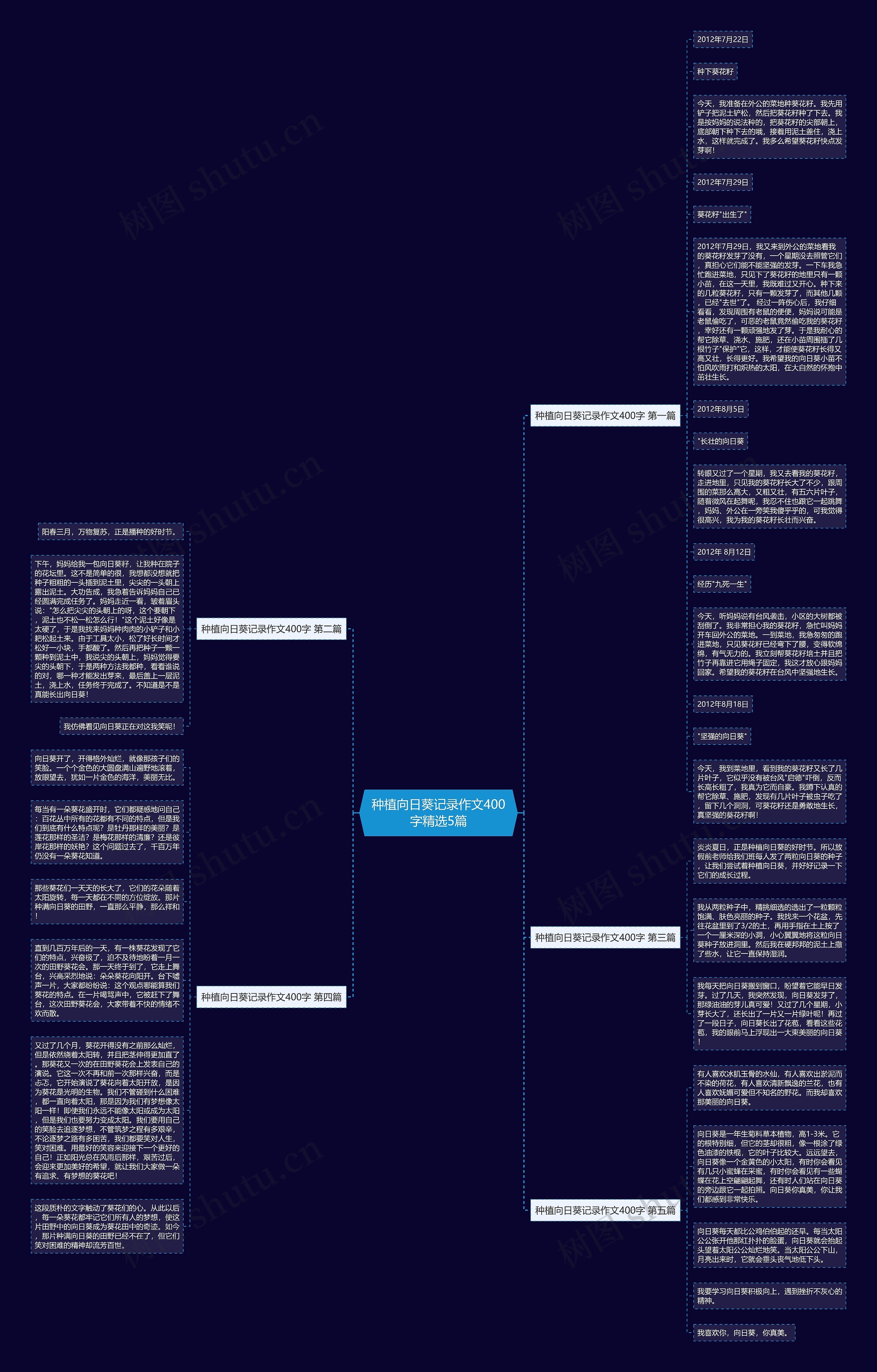 种植向日葵记录作文400字精选5篇思维导图