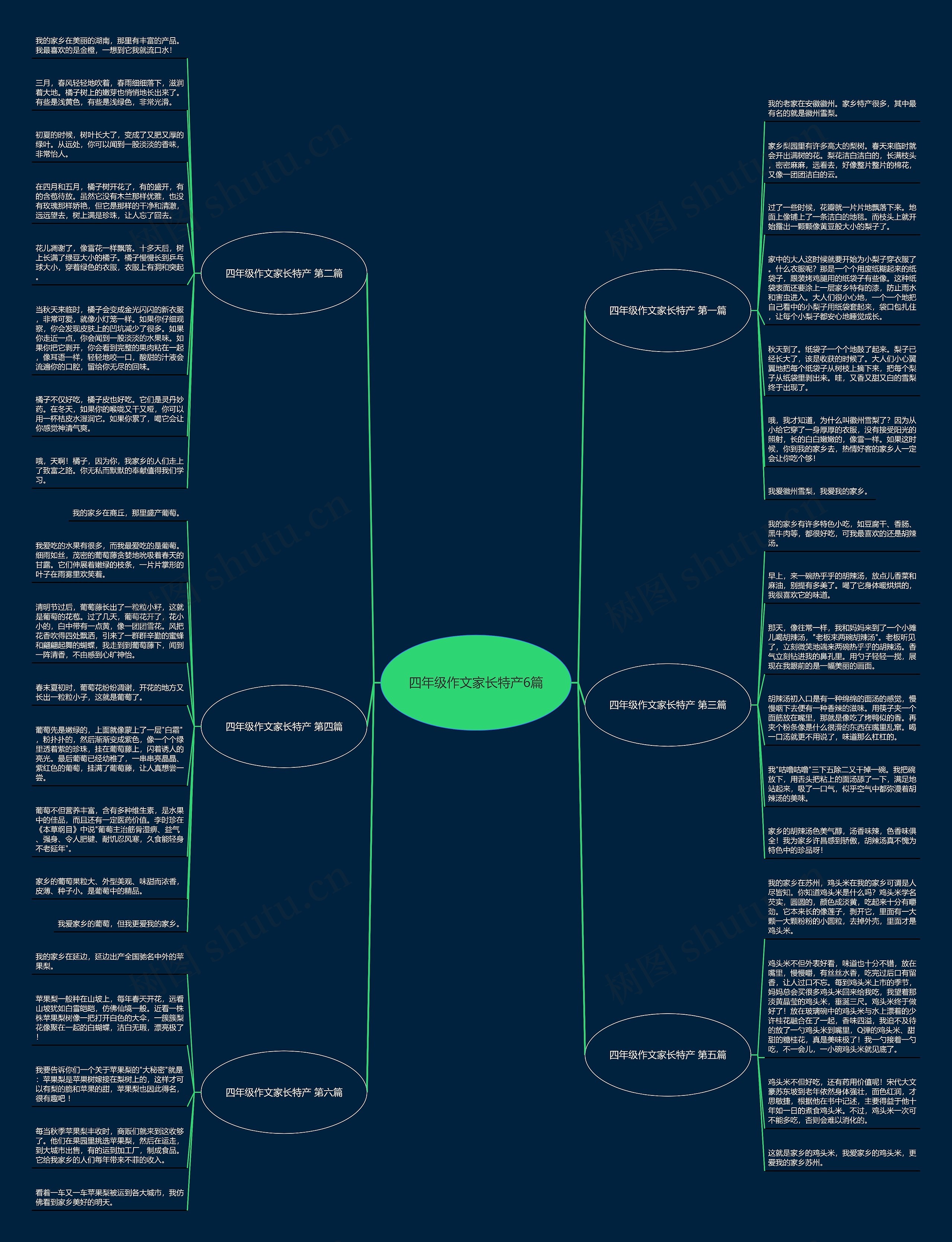 四年级作文家长特产6篇思维导图