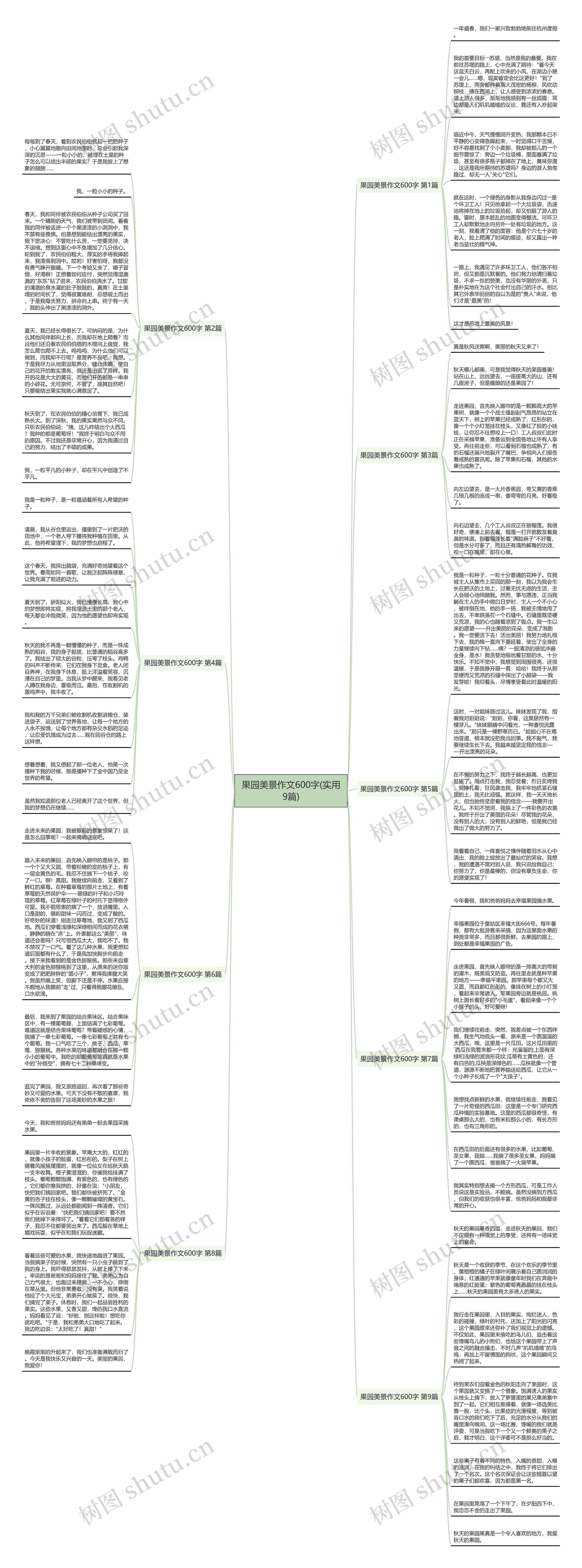 果园美景作文600字(实用9篇)思维导图