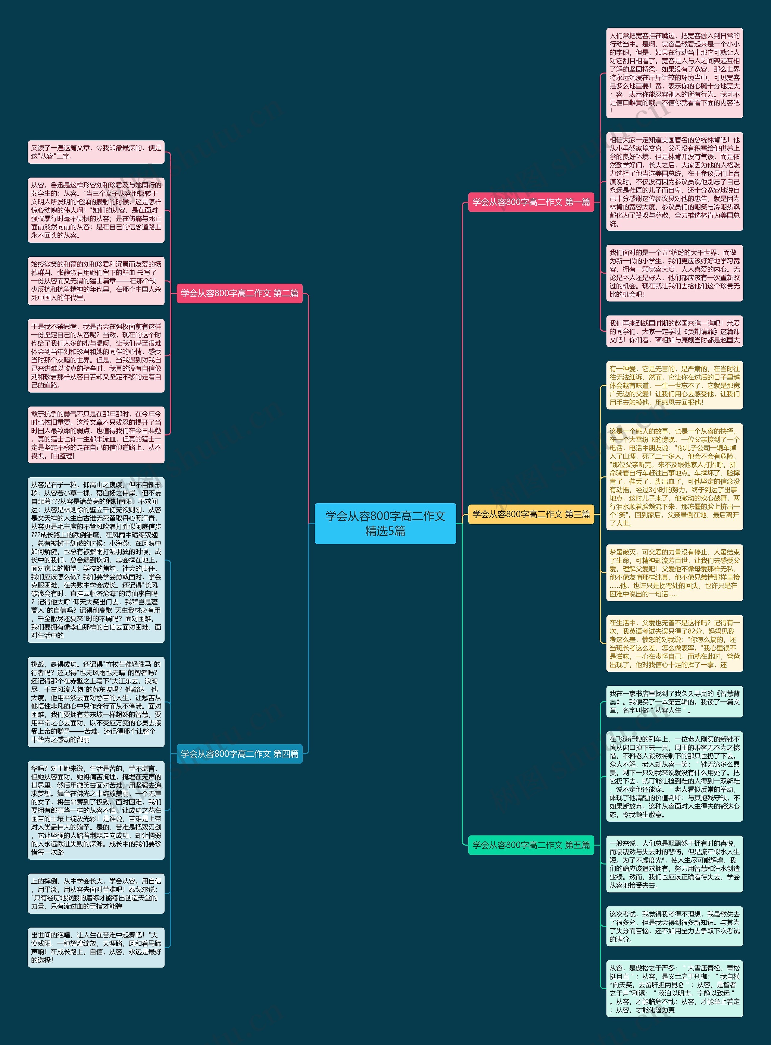 学会从容800字高二作文精选5篇思维导图