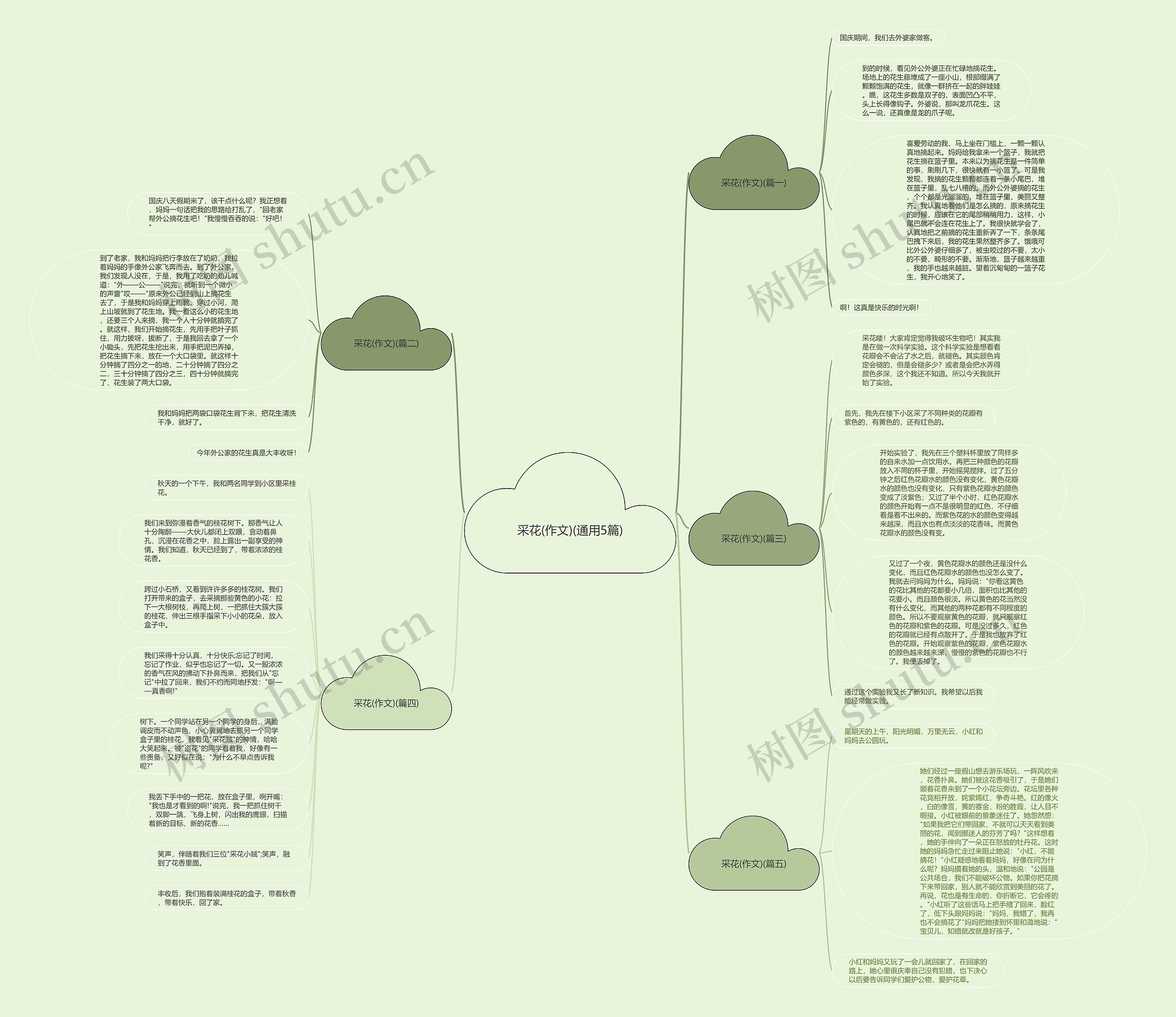 采花(作文)(通用5篇)思维导图