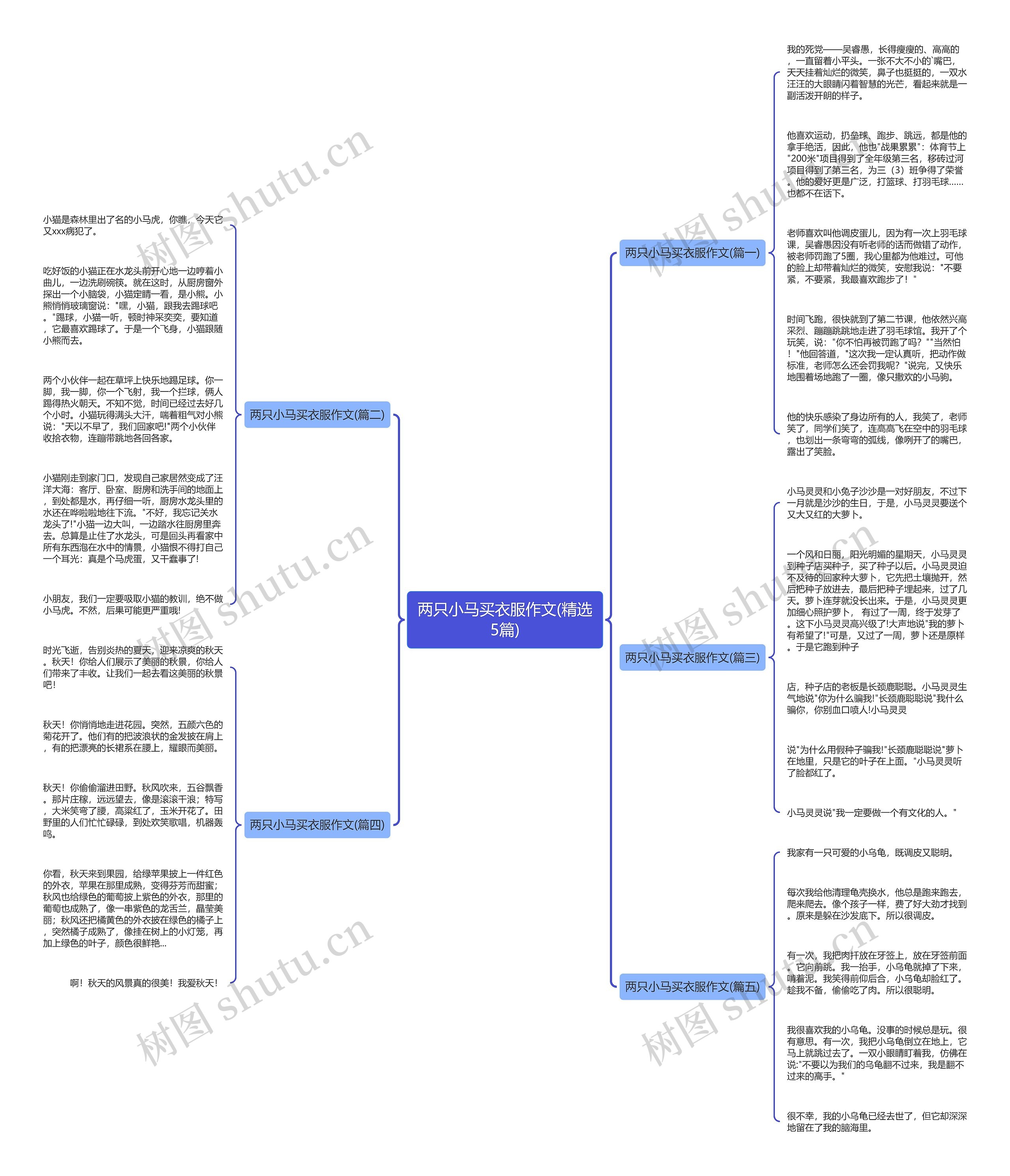 两只小马买衣服作文(精选5篇)思维导图
