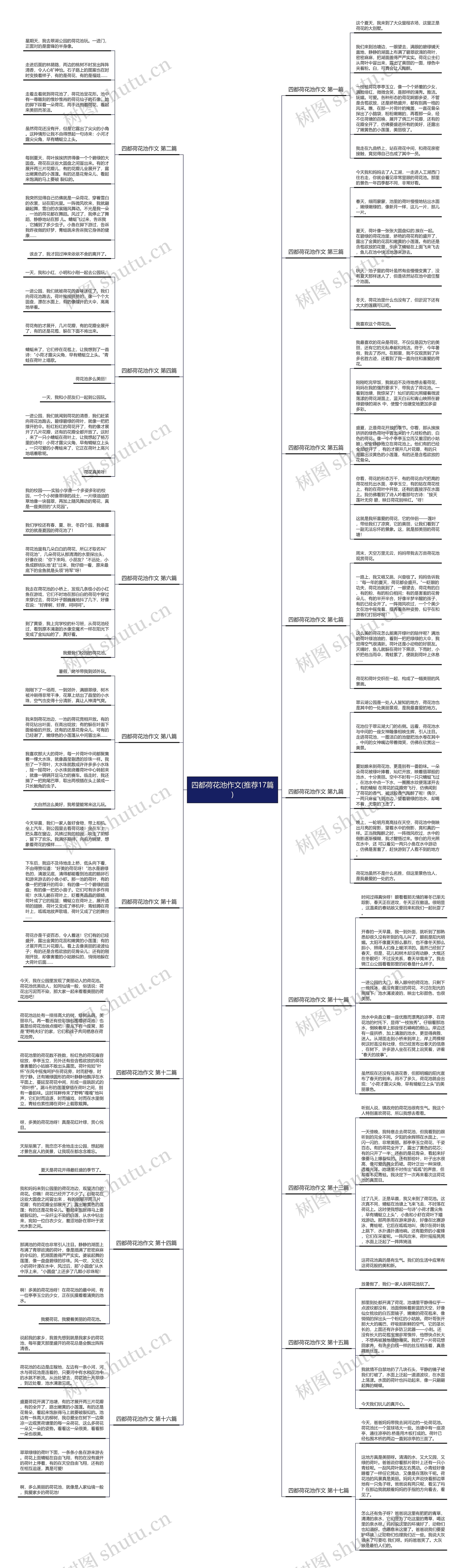 四都荷花池作文(推荐17篇)