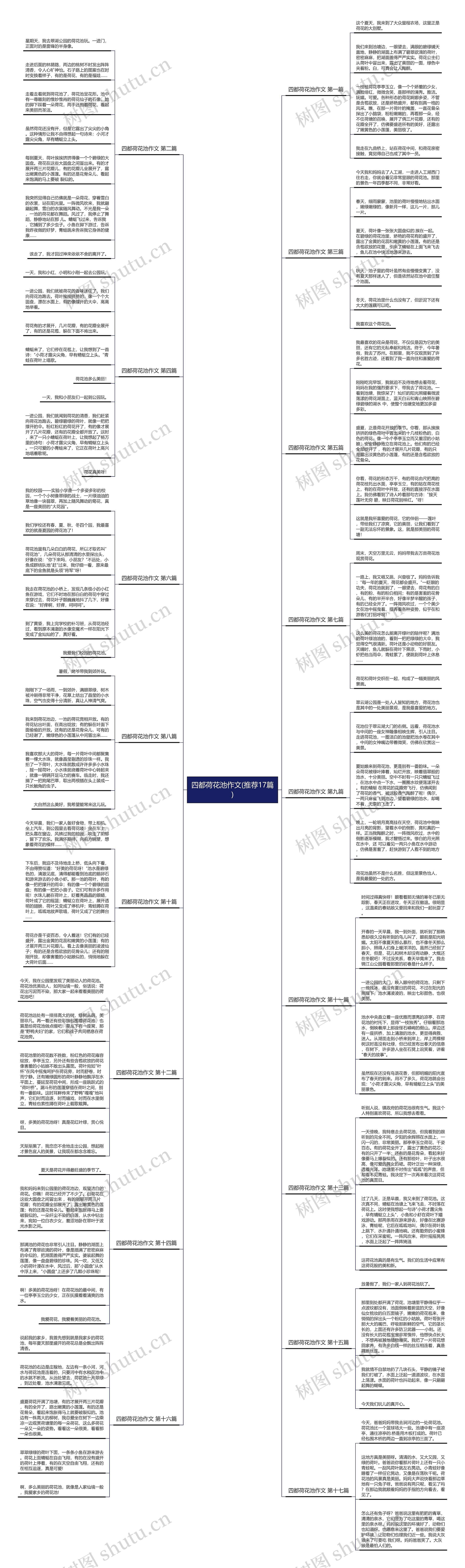 四都荷花池作文(推荐17篇) 四都荷花池作文(推荐17篇)