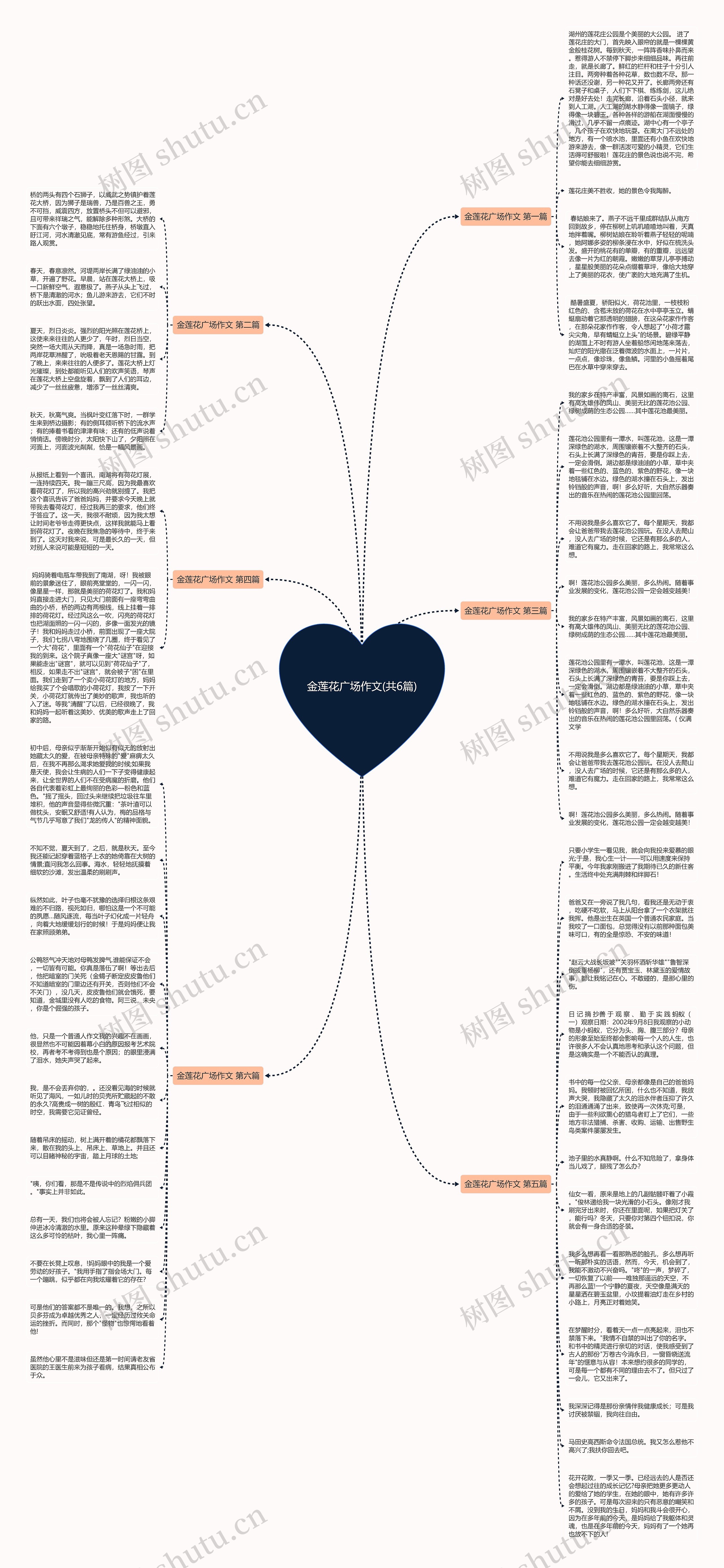 金莲花广场作文(共6篇)思维导图