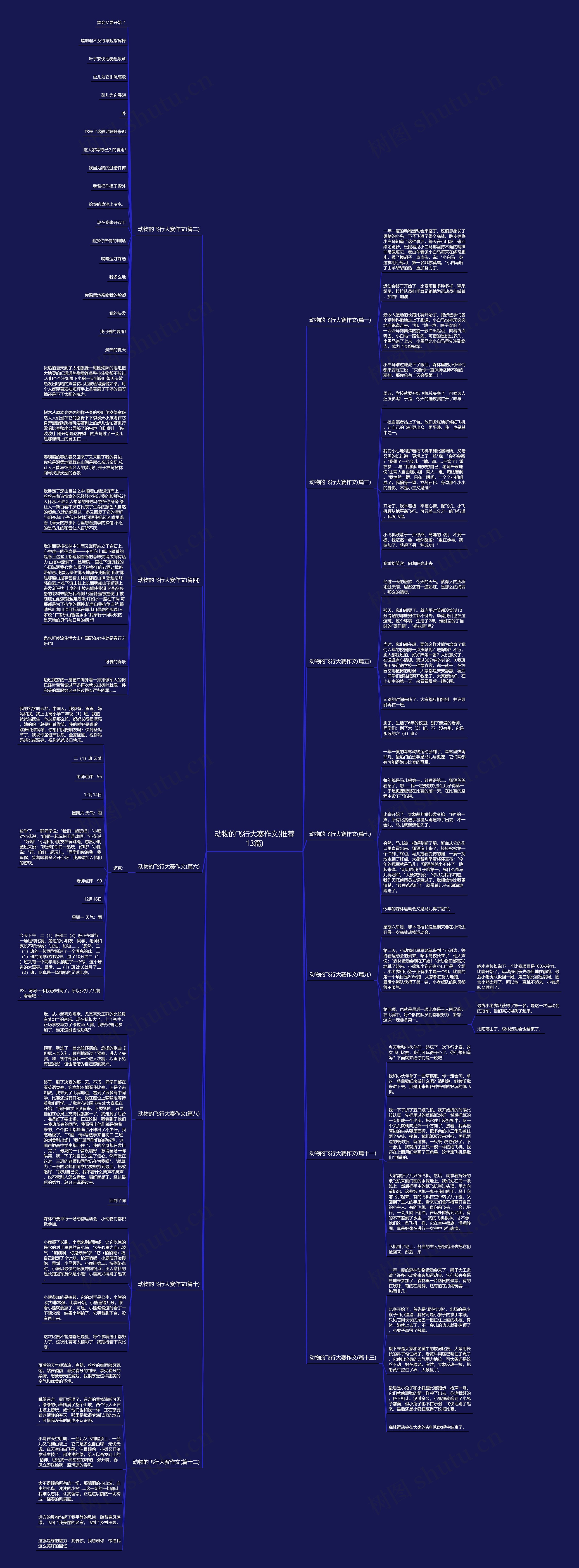 动物的飞行大赛作文(推荐13篇)思维导图
