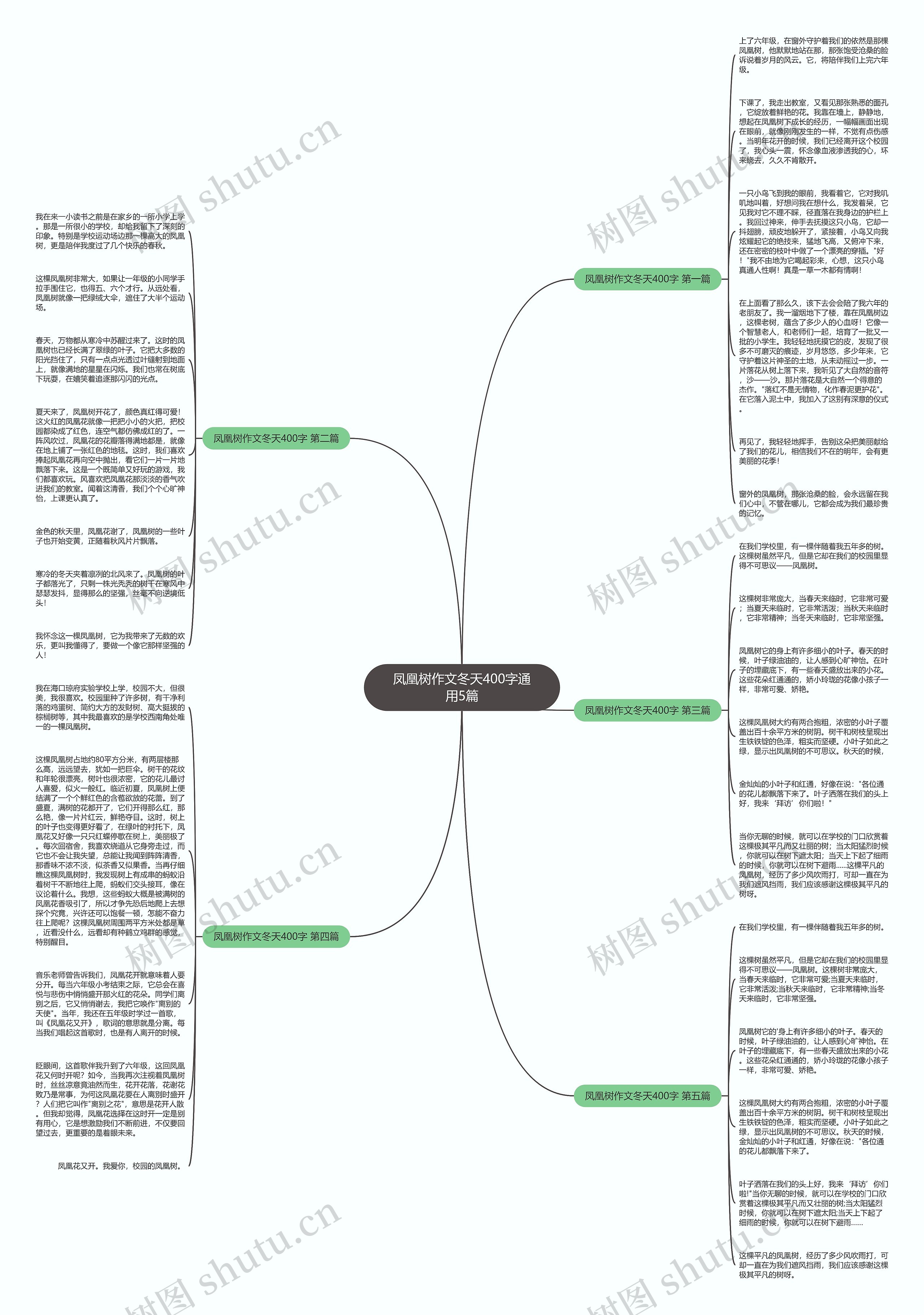 凤凰树作文冬天400字通用5篇思维导图