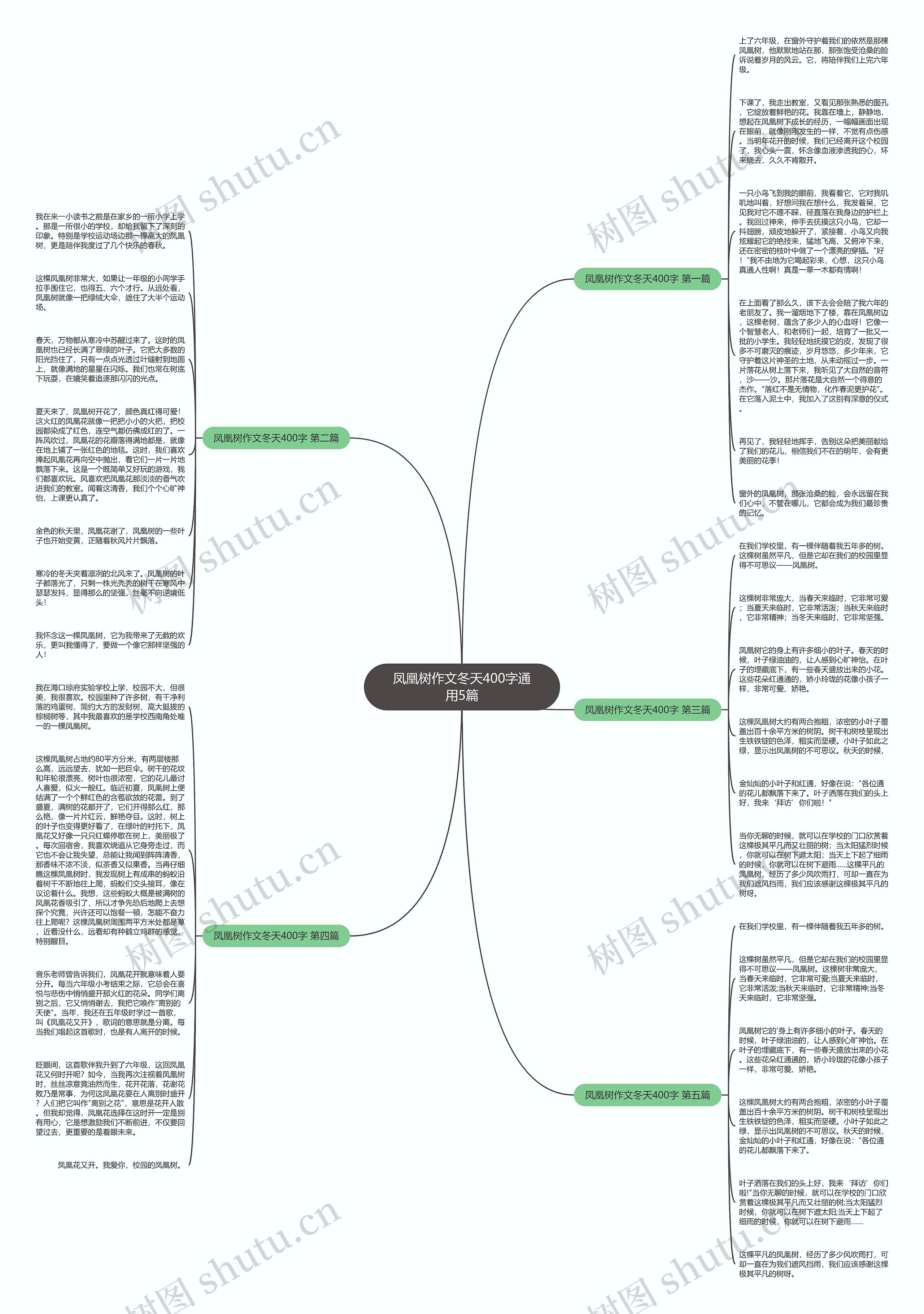 凤凰树作文冬天400字通用5篇 凤凰树作文冬天400字通用5篇