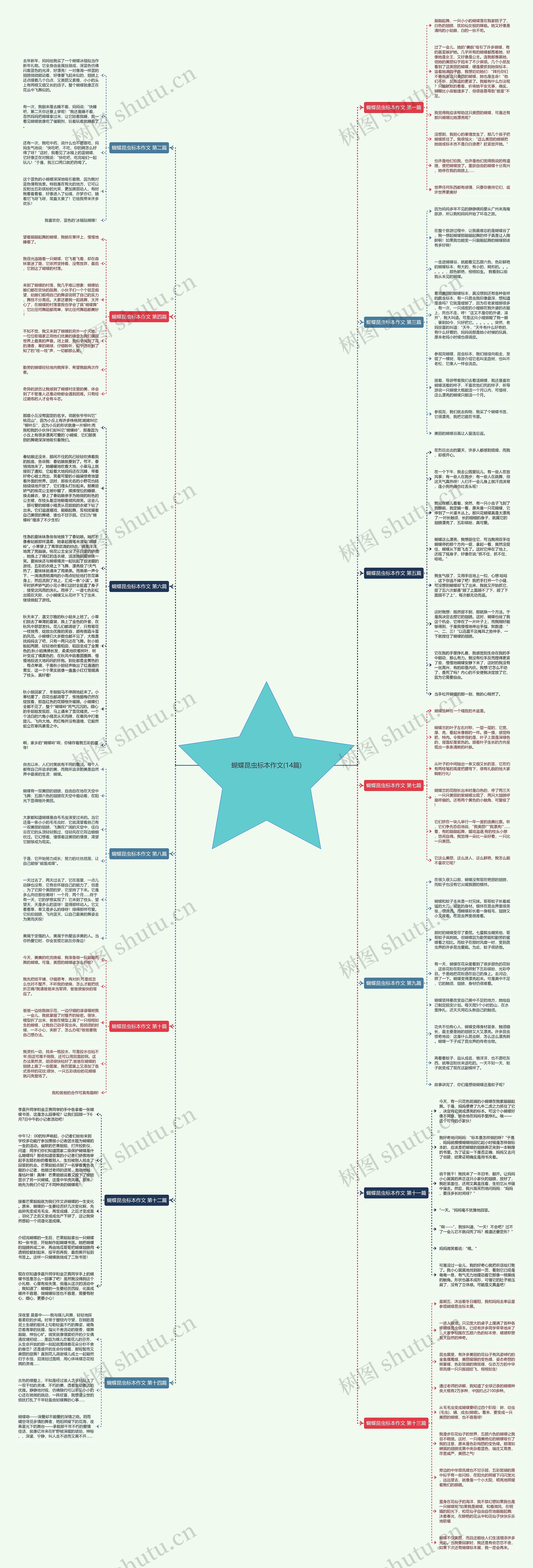 蝴蝶昆虫标本作文(14篇)思维导图