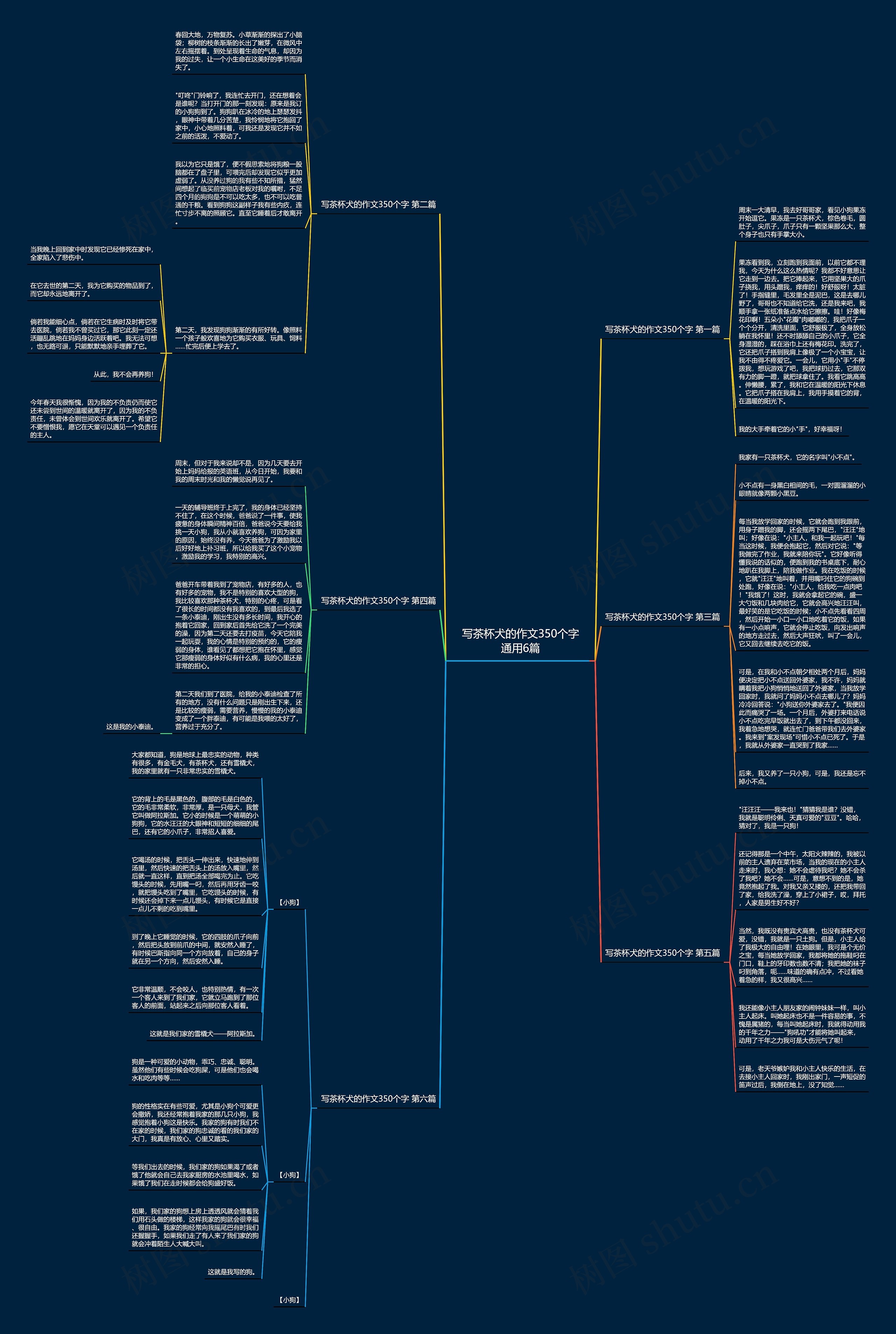 写茶杯犬的作文350个字通用6篇思维导图
