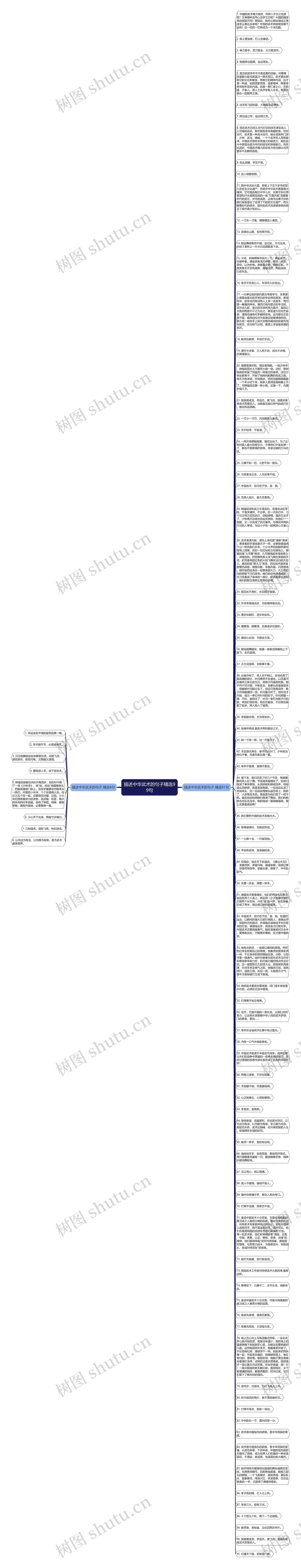 描述中华武术的句子精选99句思维导图