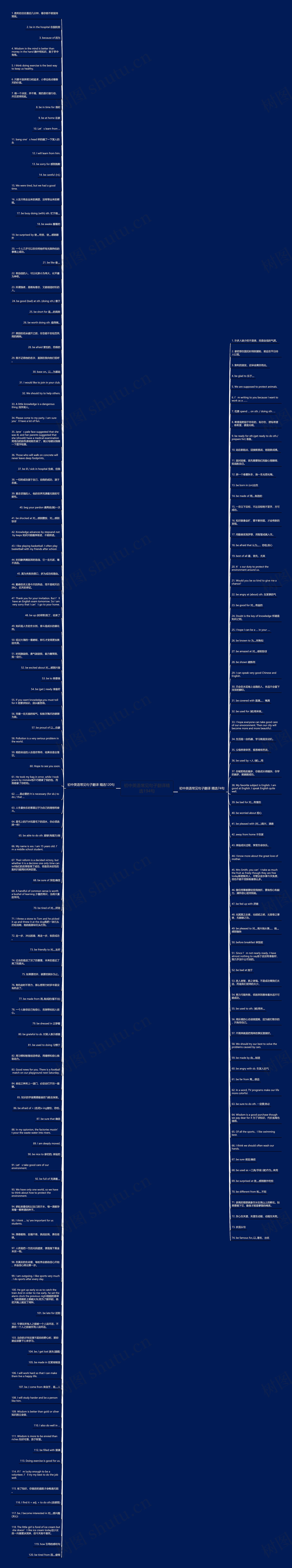 初中英语常见句子翻译精选194句思维导图