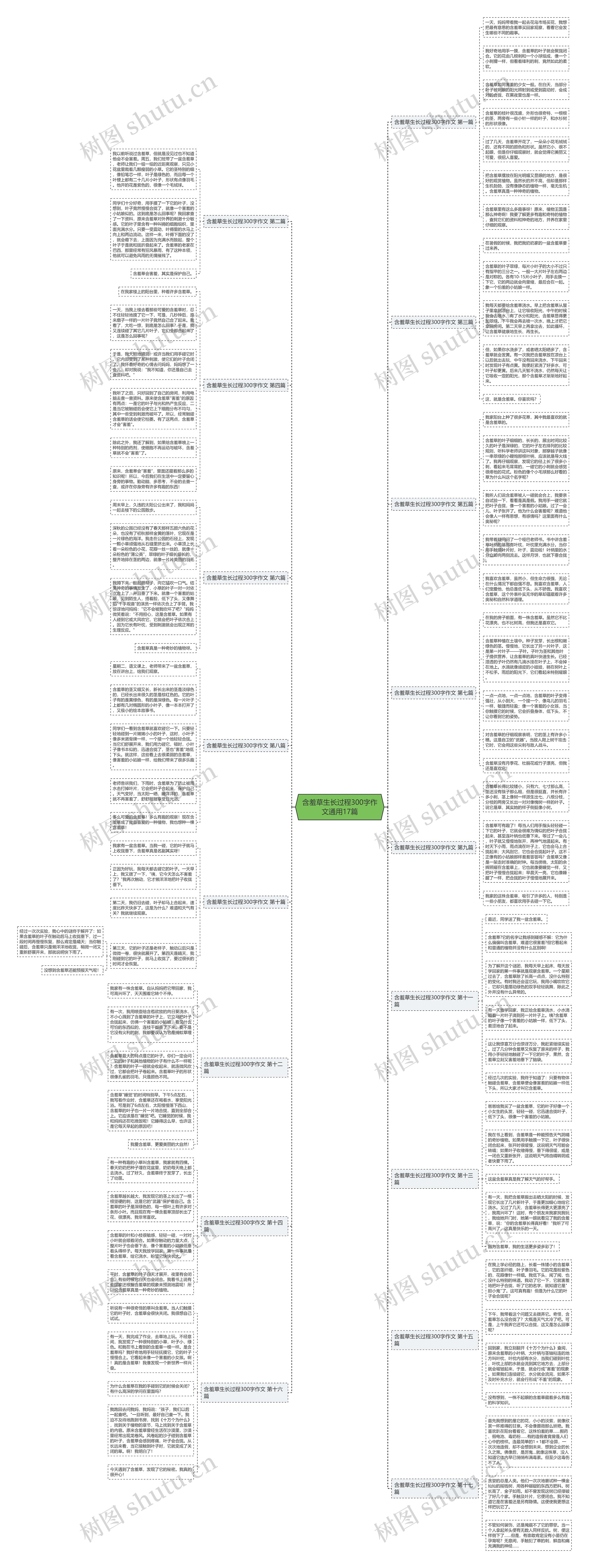 含羞草生长过程300字作文通用17篇