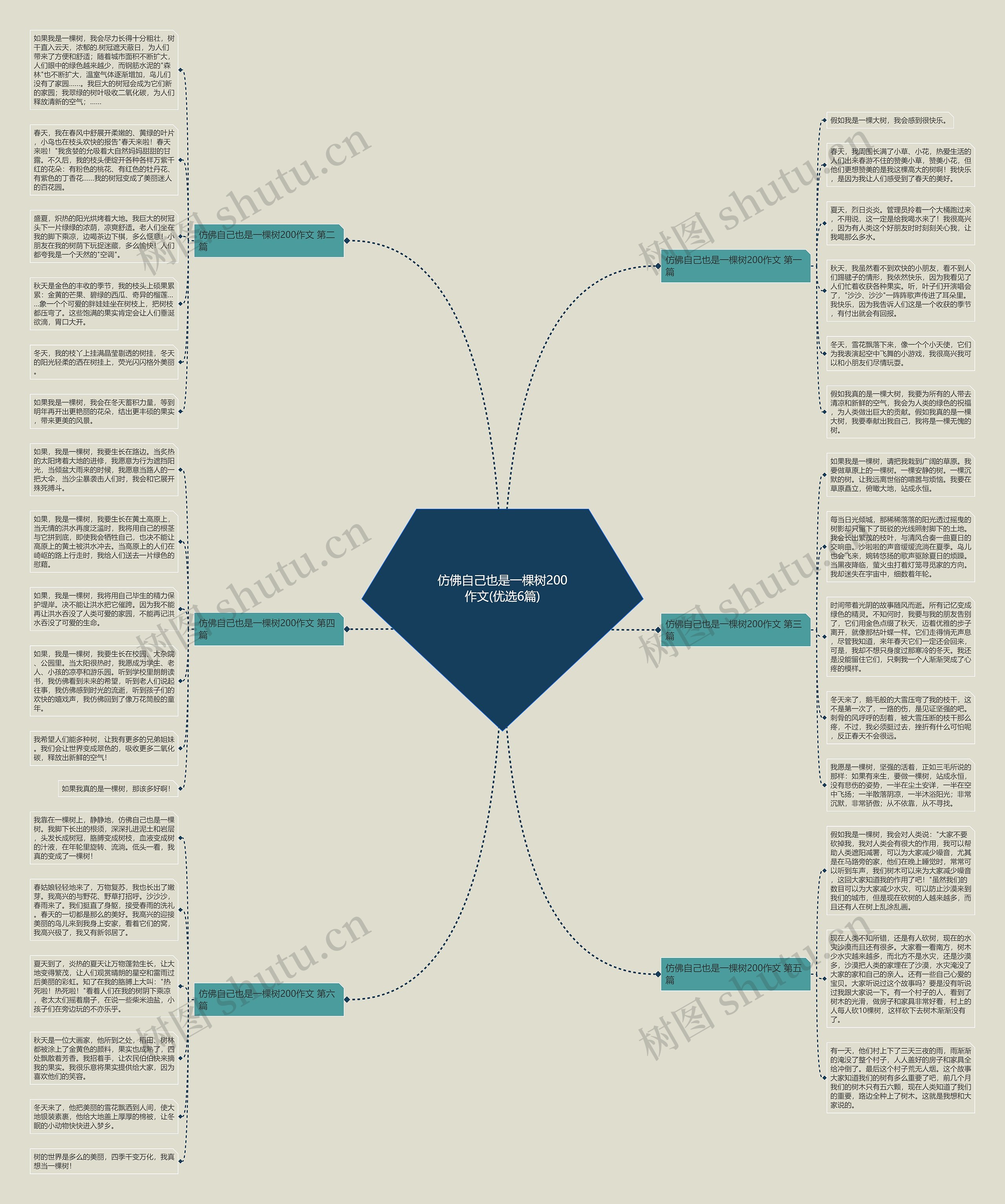 仿佛自己也是一棵树200作文(优选6篇)思维导图