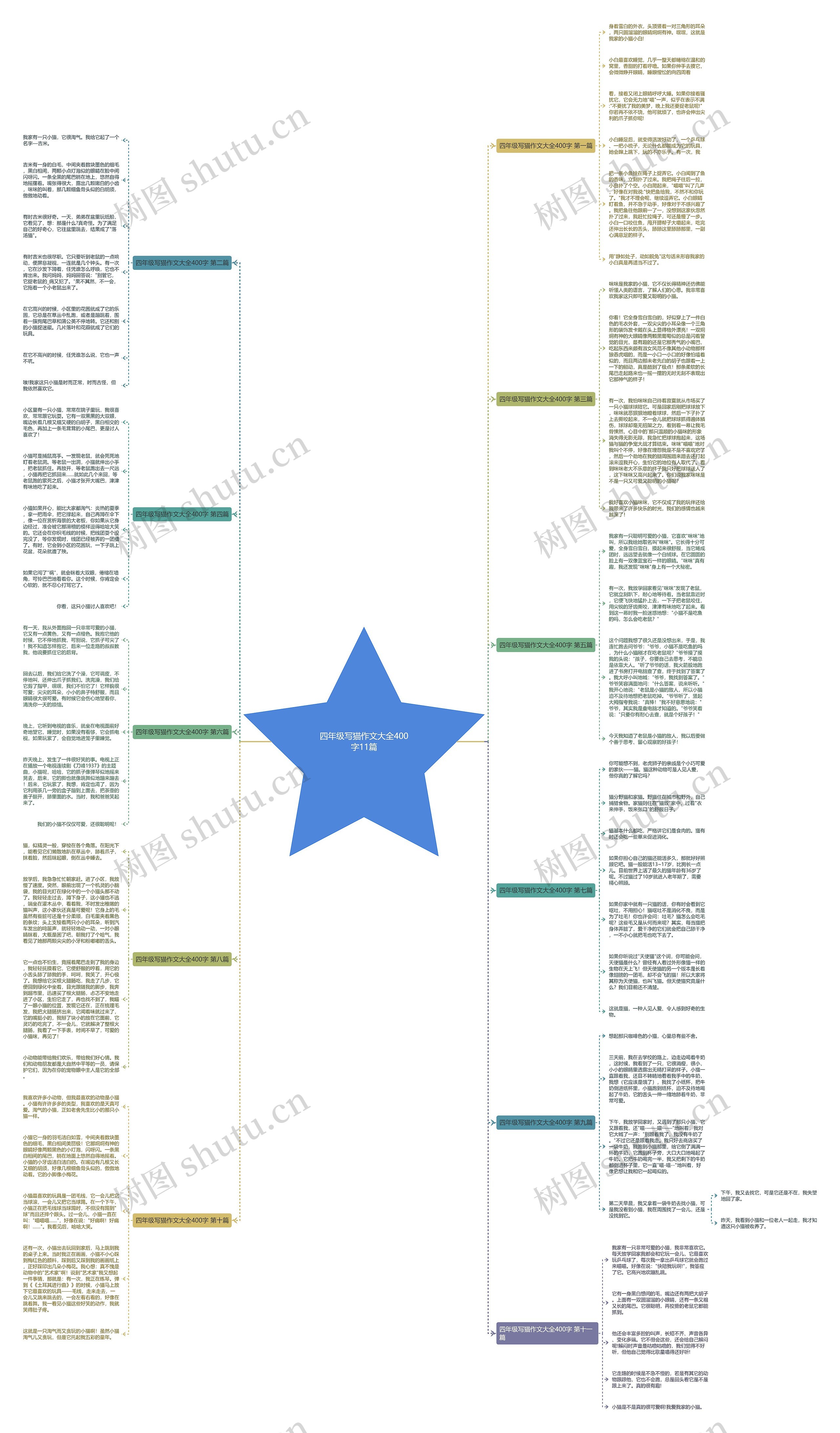 四年级写猫作文大全400字11篇思维导图