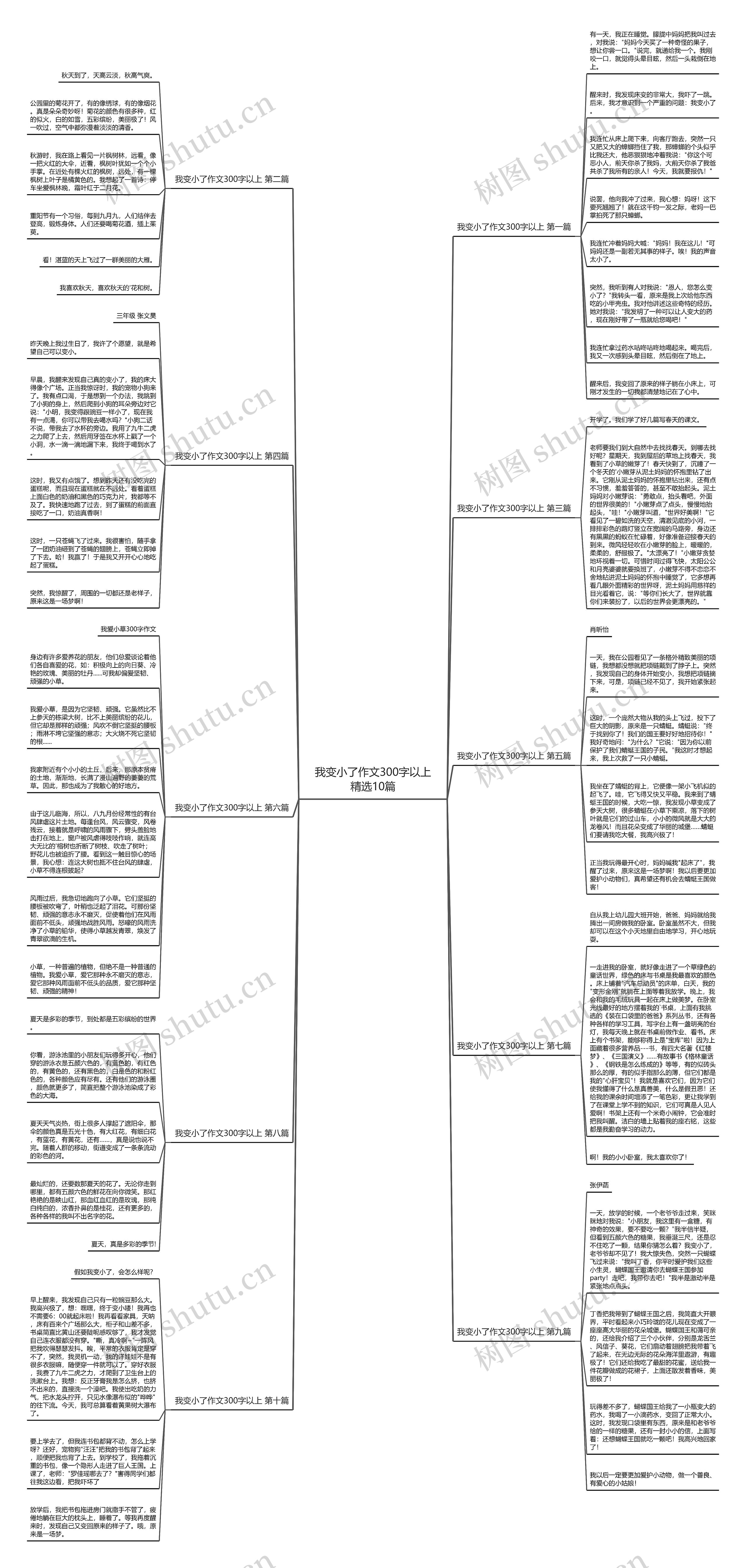 我变小了作文300字以上精选10篇思维导图