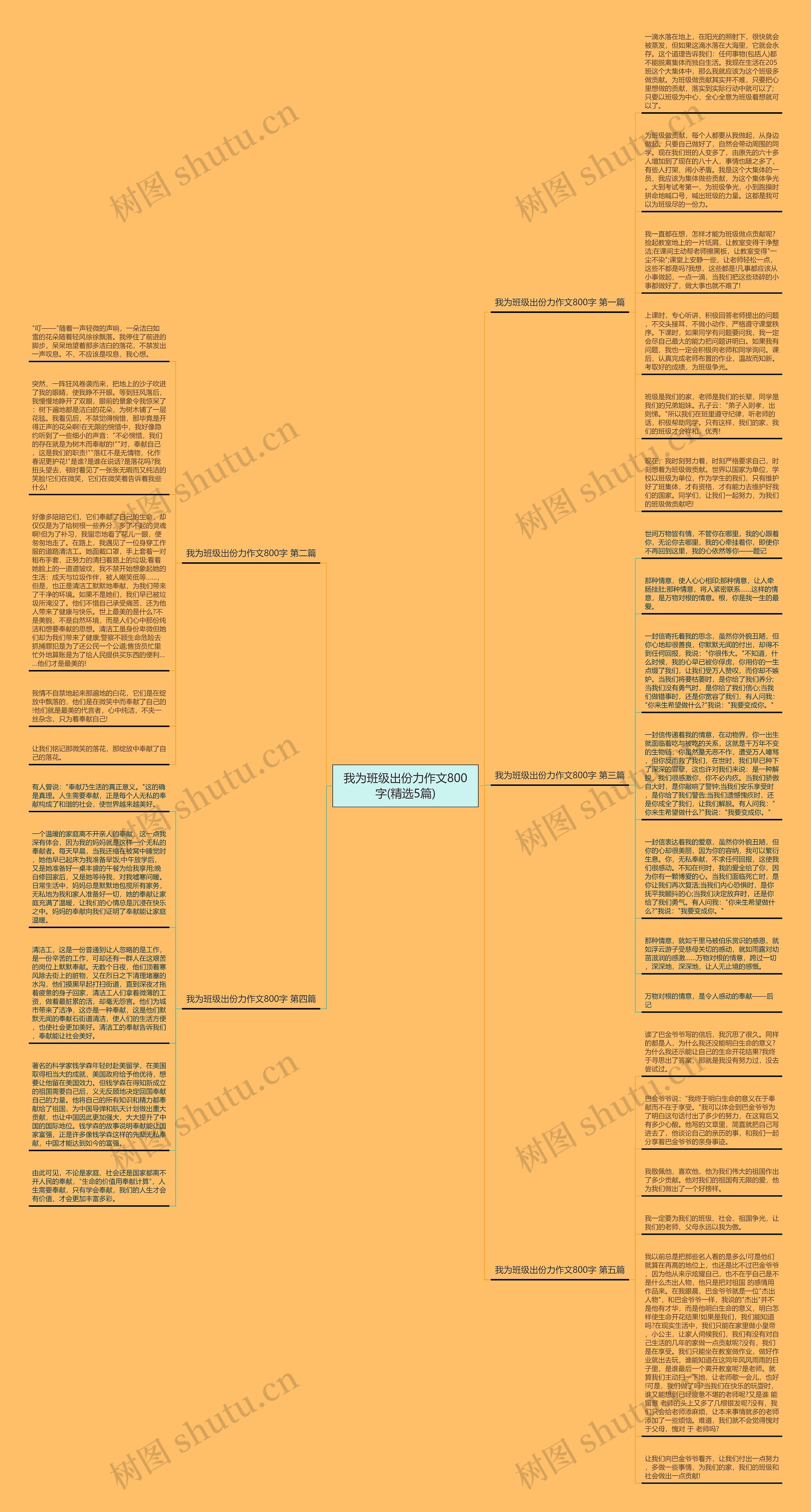 我为班级出份力作文800字(精选5篇)思维导图