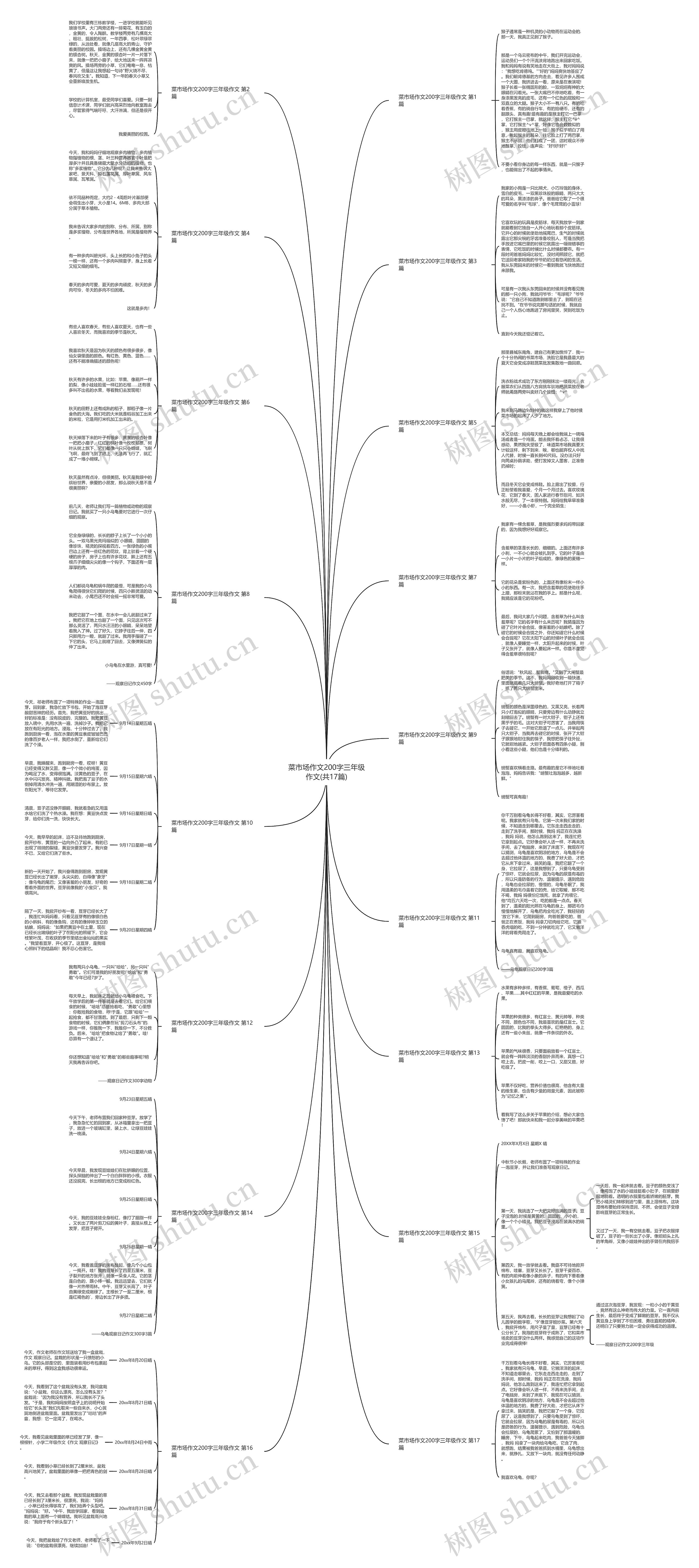 菜市场作文200字三年级作文(共17篇)思维导图