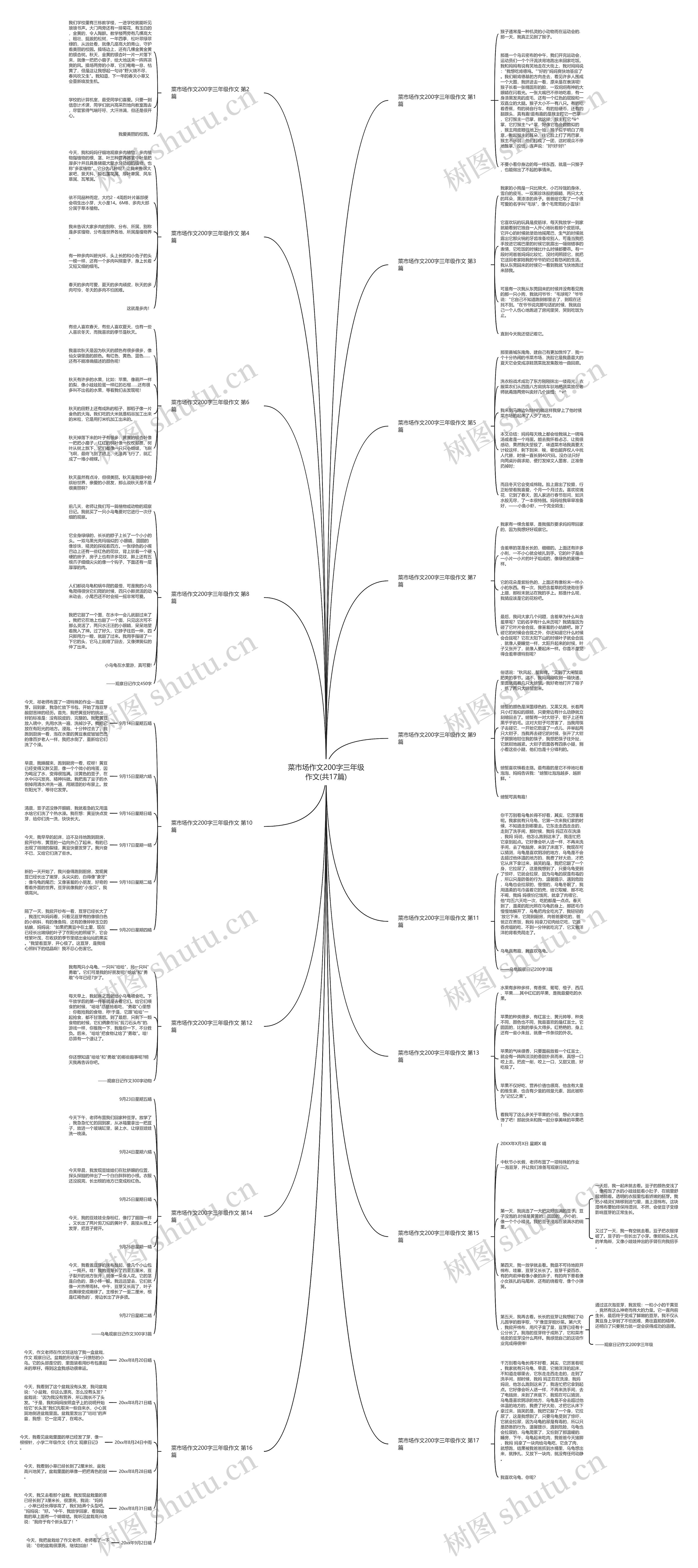 菜市场作文200字三年级作文(共17篇) 菜市场作文200字三年级作文(共17篇)