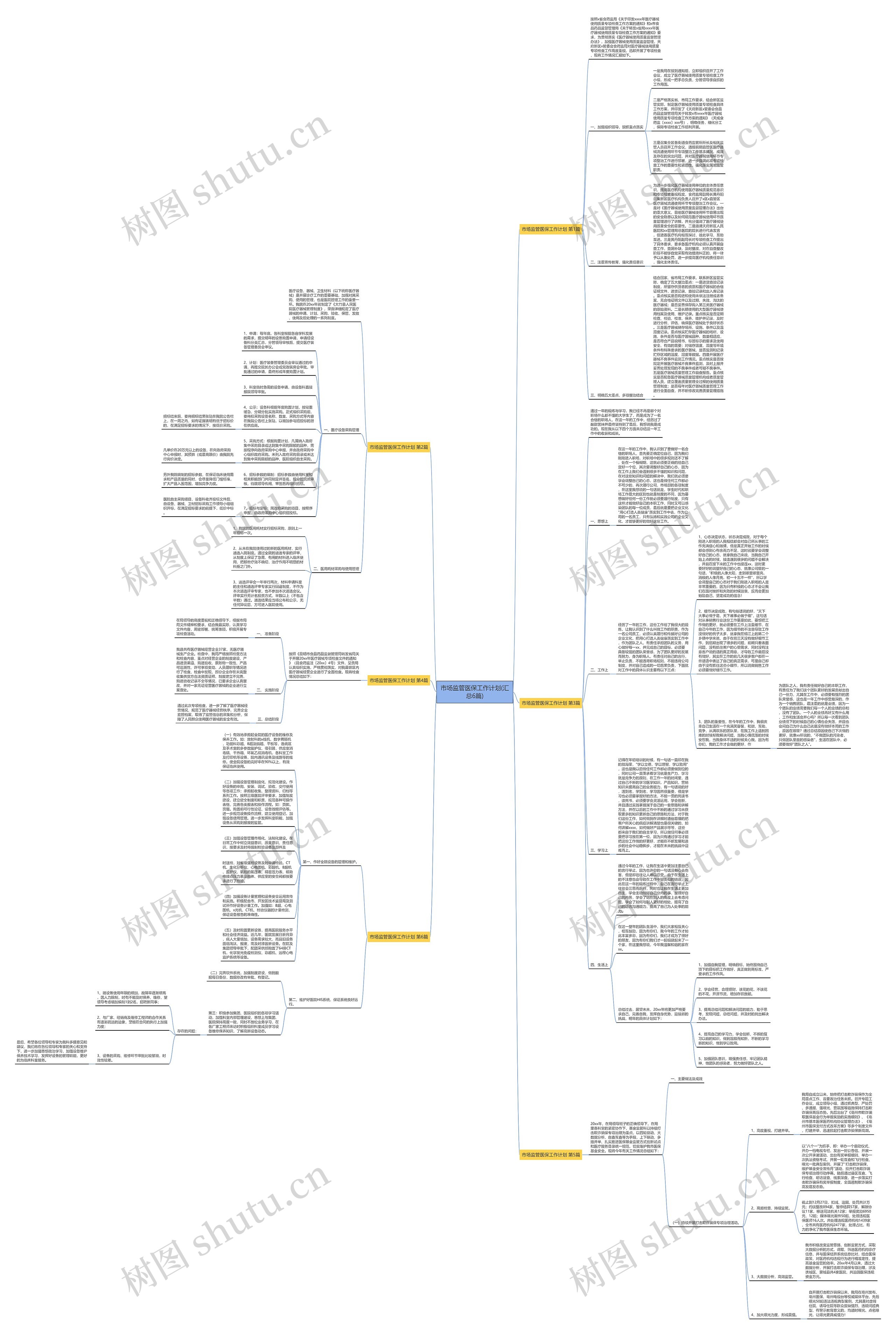 市场监管医保工作计划(汇总6篇)思维导图