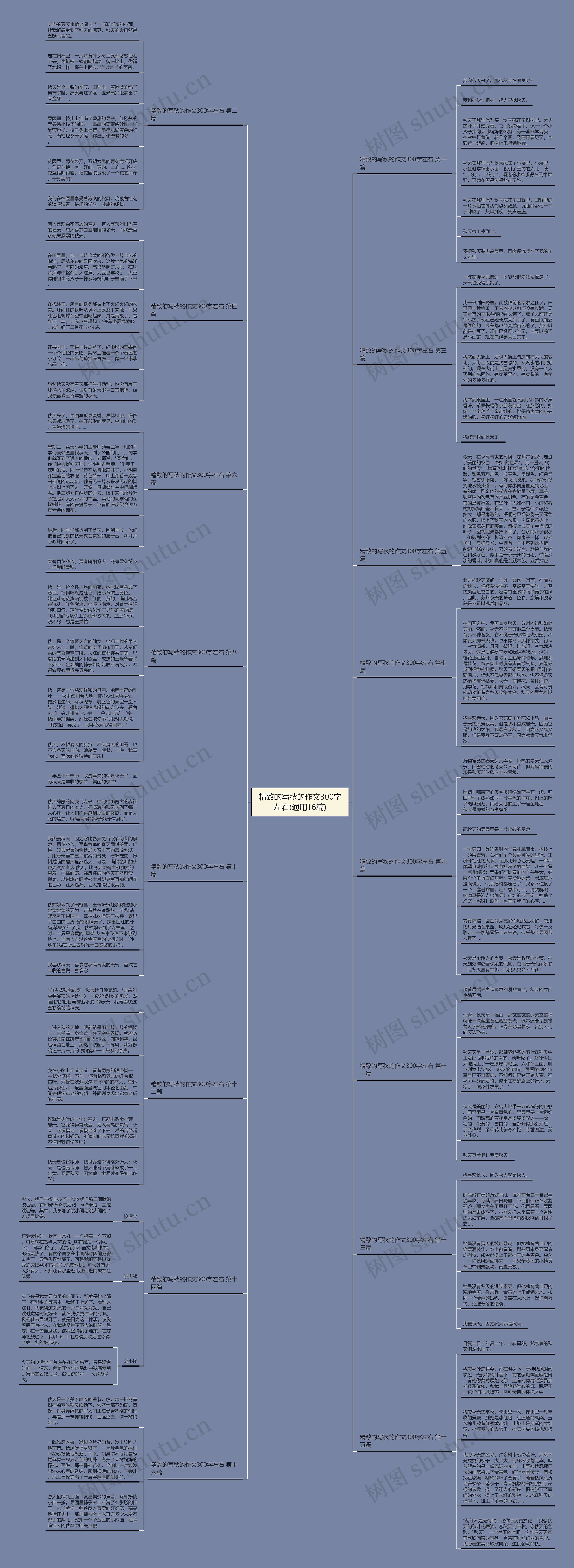 精致的写秋的作文300字左右(通用16篇) 精致的写秋的作文300字左右(通用16篇)