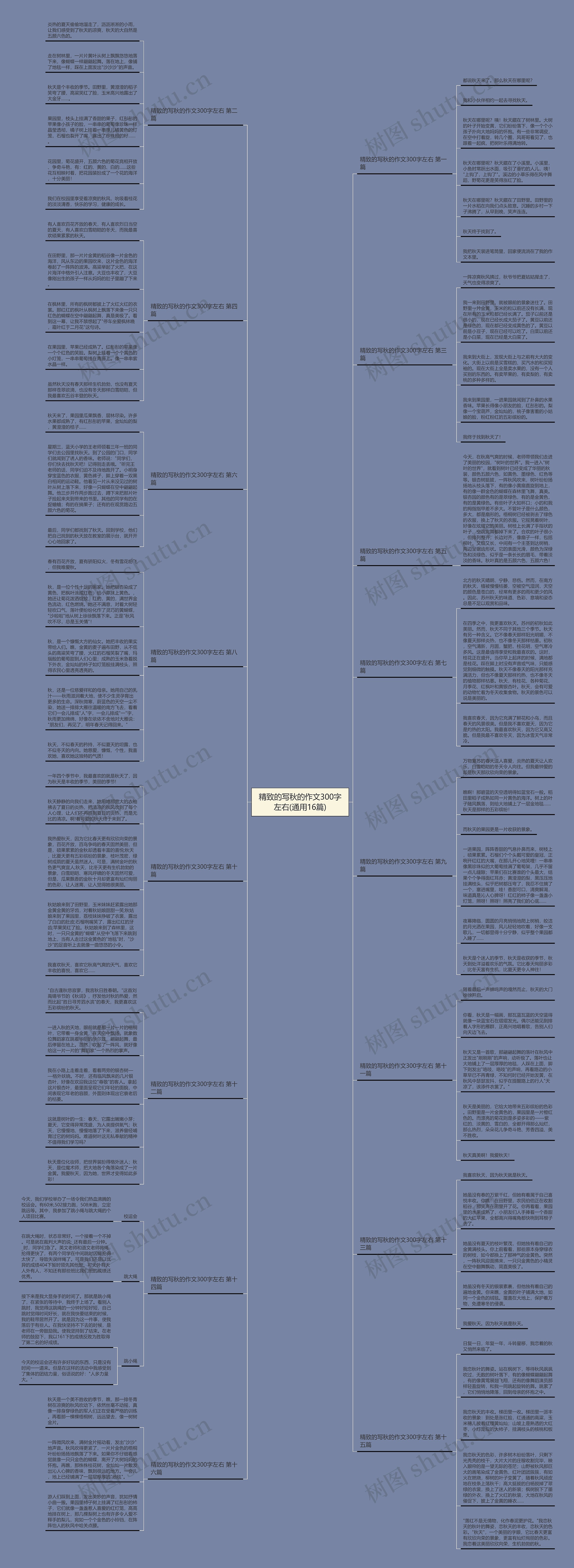 精致的写秋的作文300字左右(通用16篇)思维导图