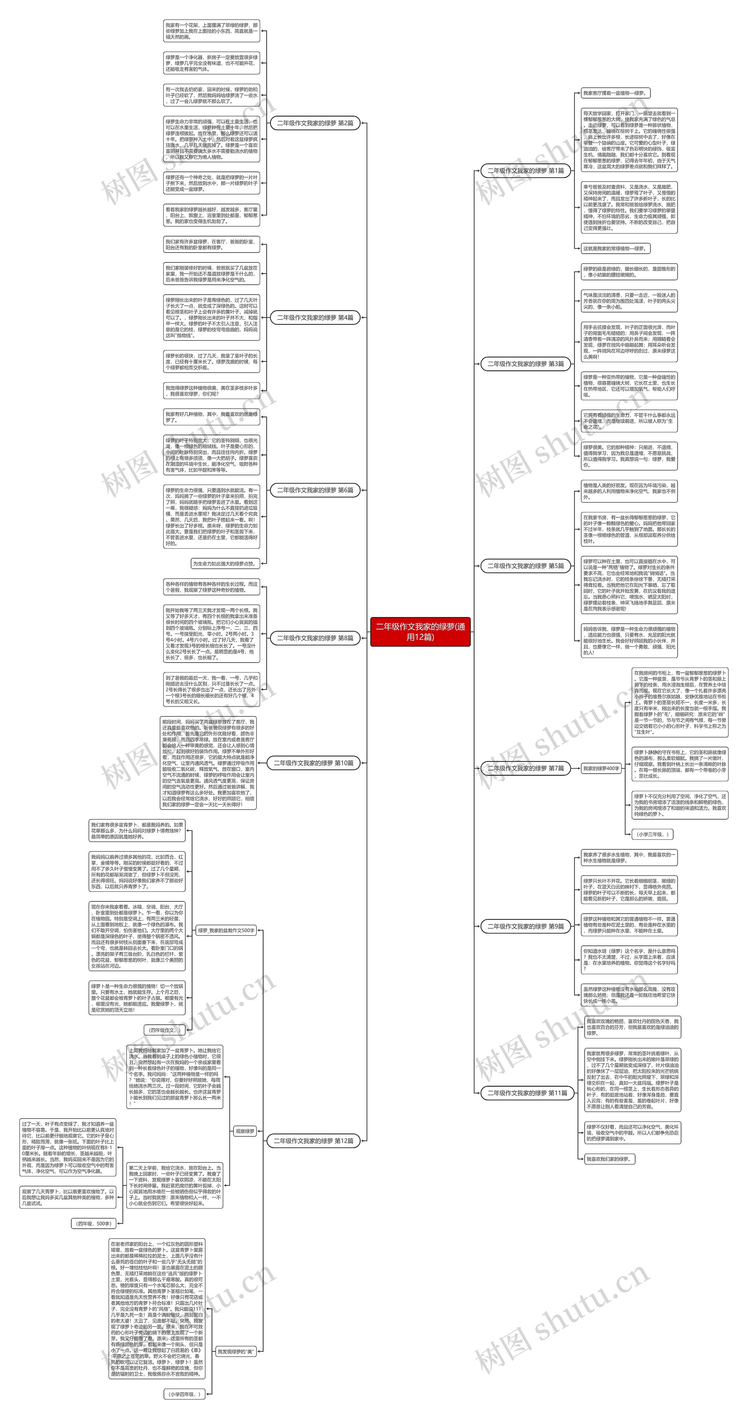 二年级作文我家的绿萝(通用12篇)思维导图