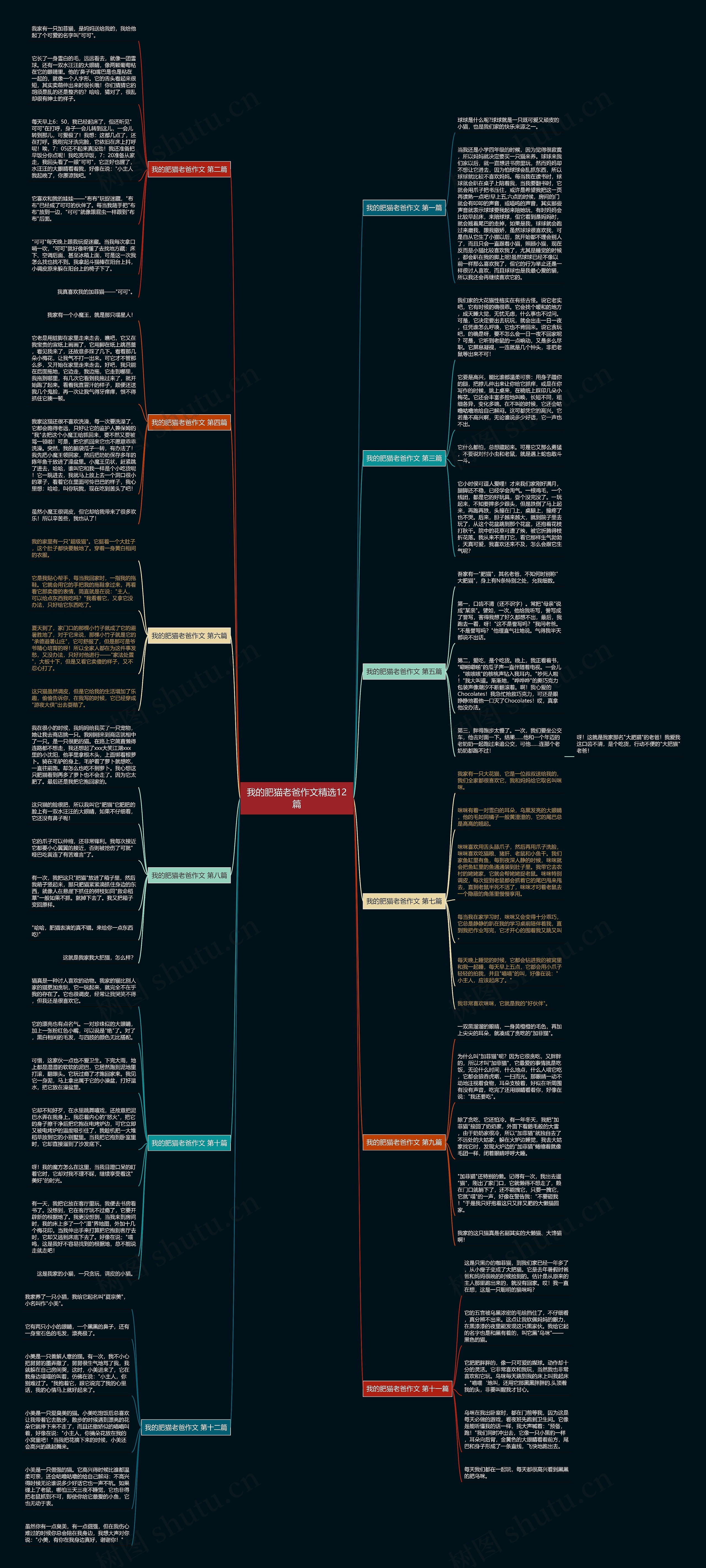 我的肥猫老爸作文精选12篇思维导图