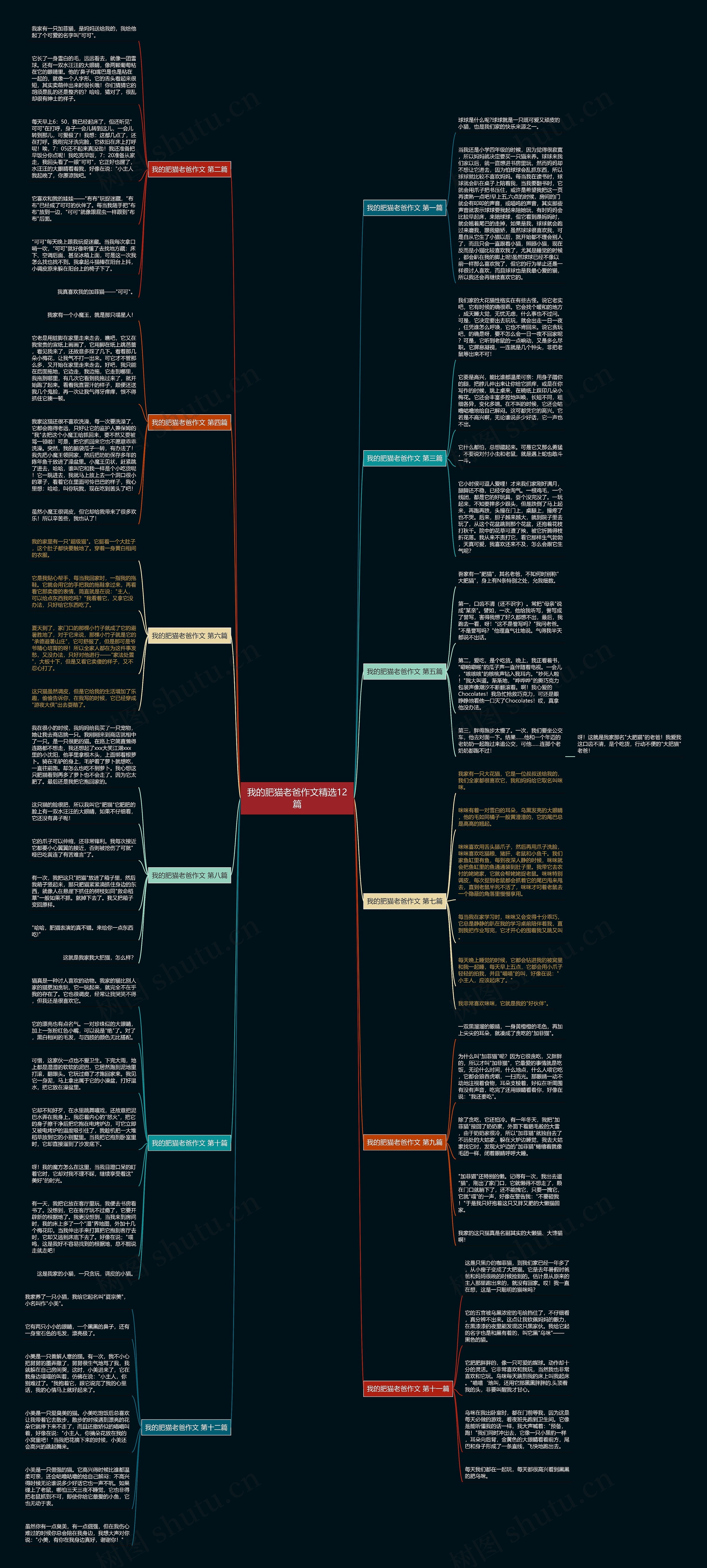 我的肥猫老爸作文精选12篇 我的肥猫老爸作文精选12篇