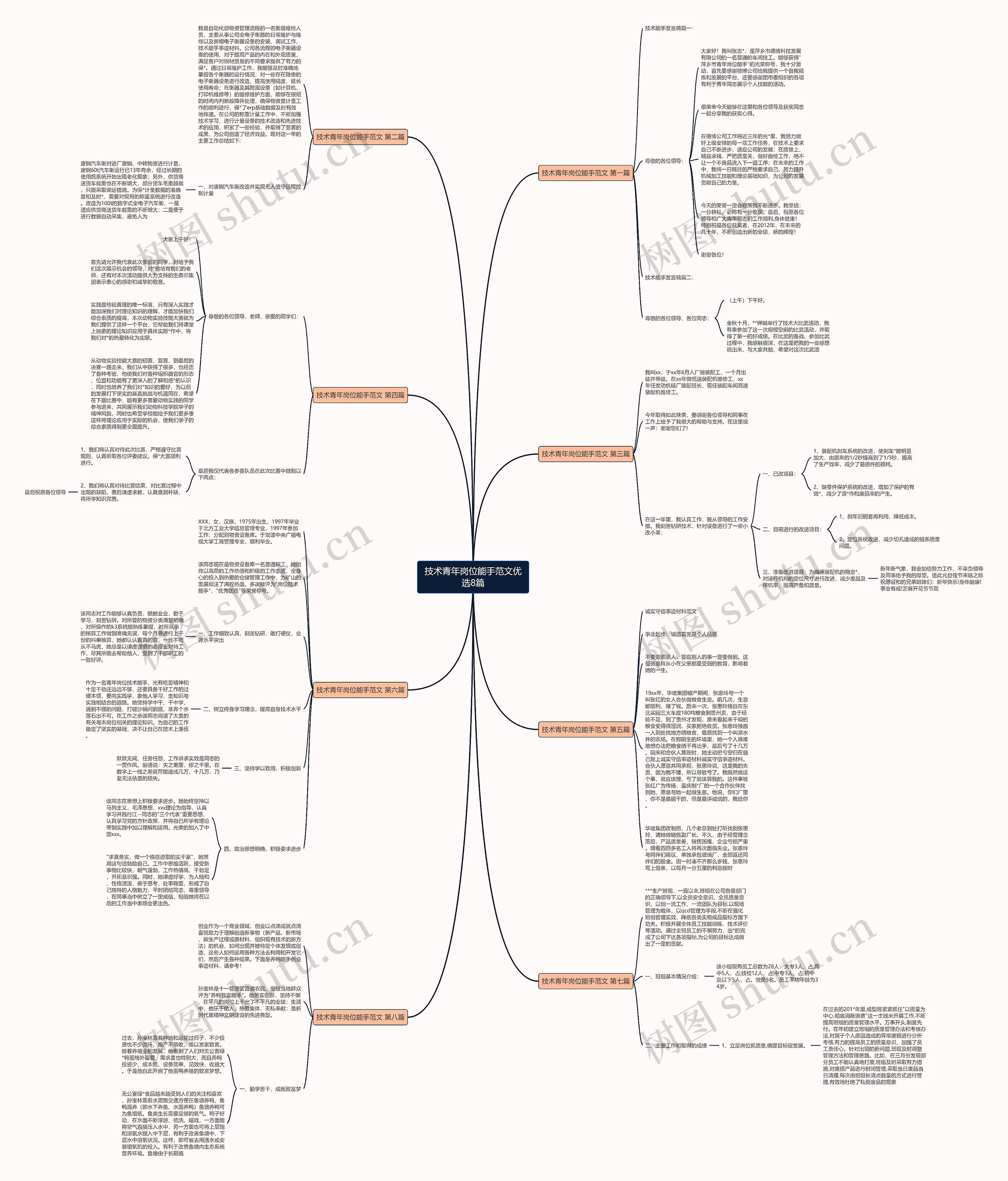 技术青年岗位能手范文优选8篇思维导图