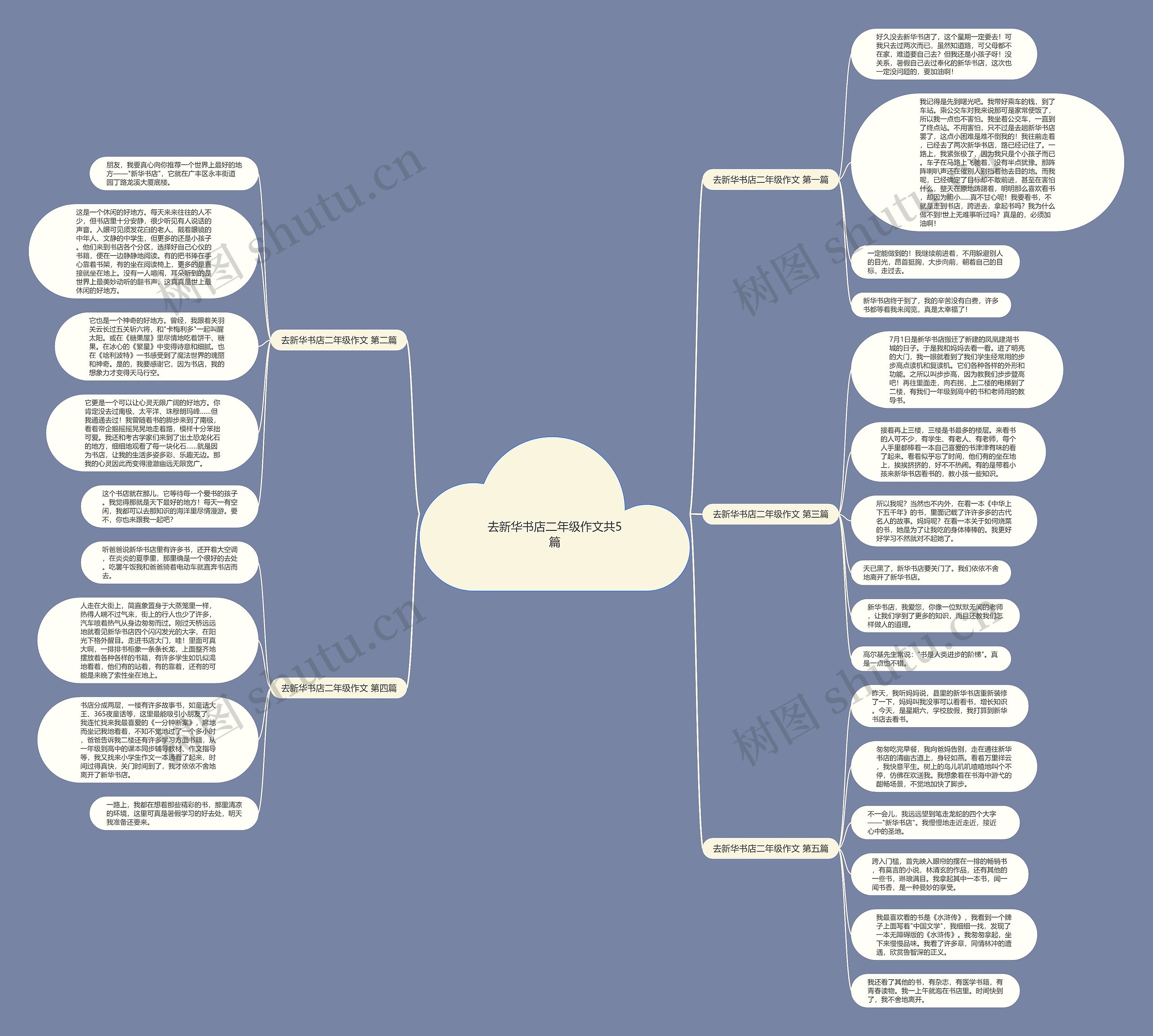 去新华书店二年级作文共5篇 去新华书店二年级作文共5篇