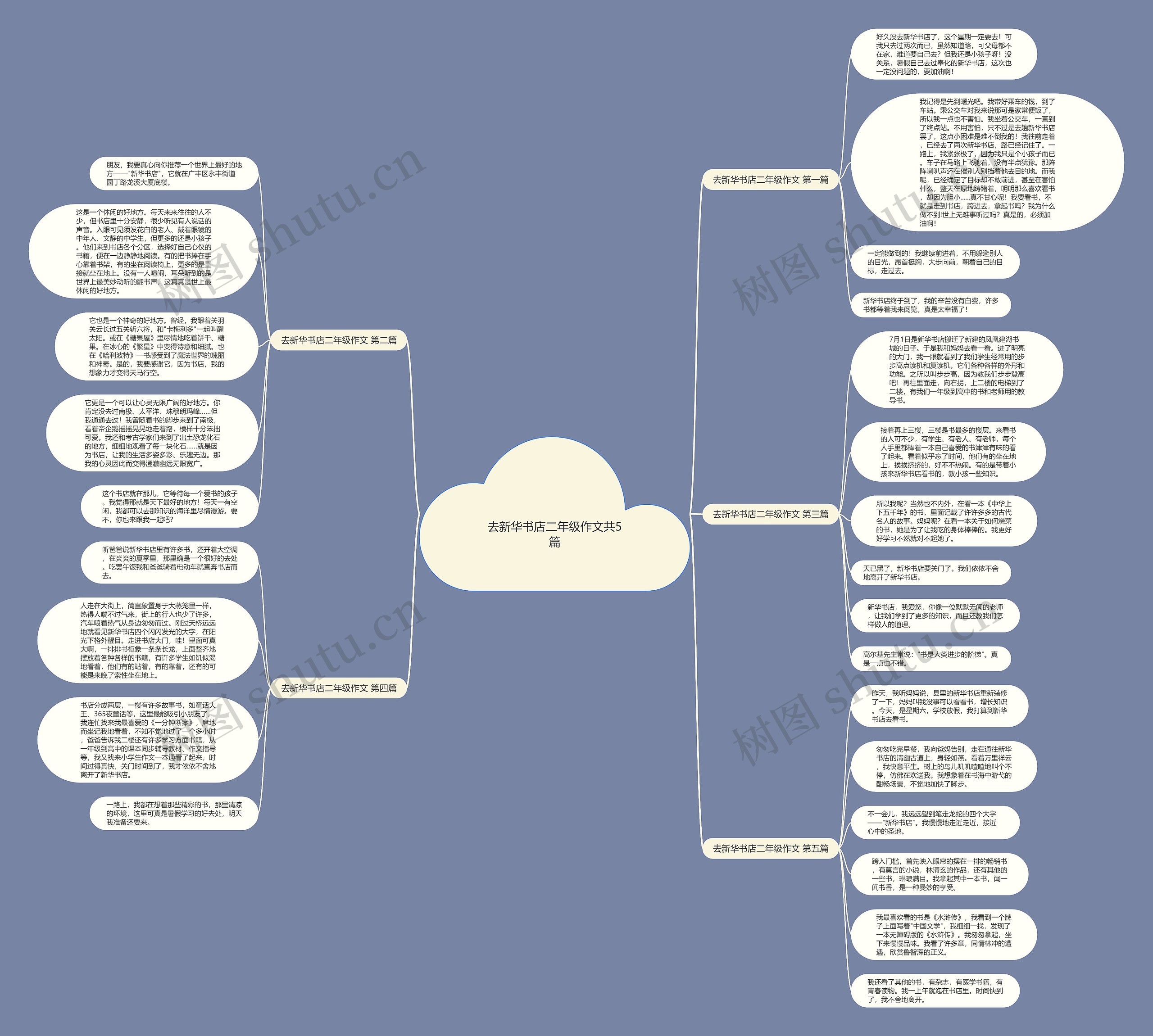 去新华书店二年级作文共5篇思维导图