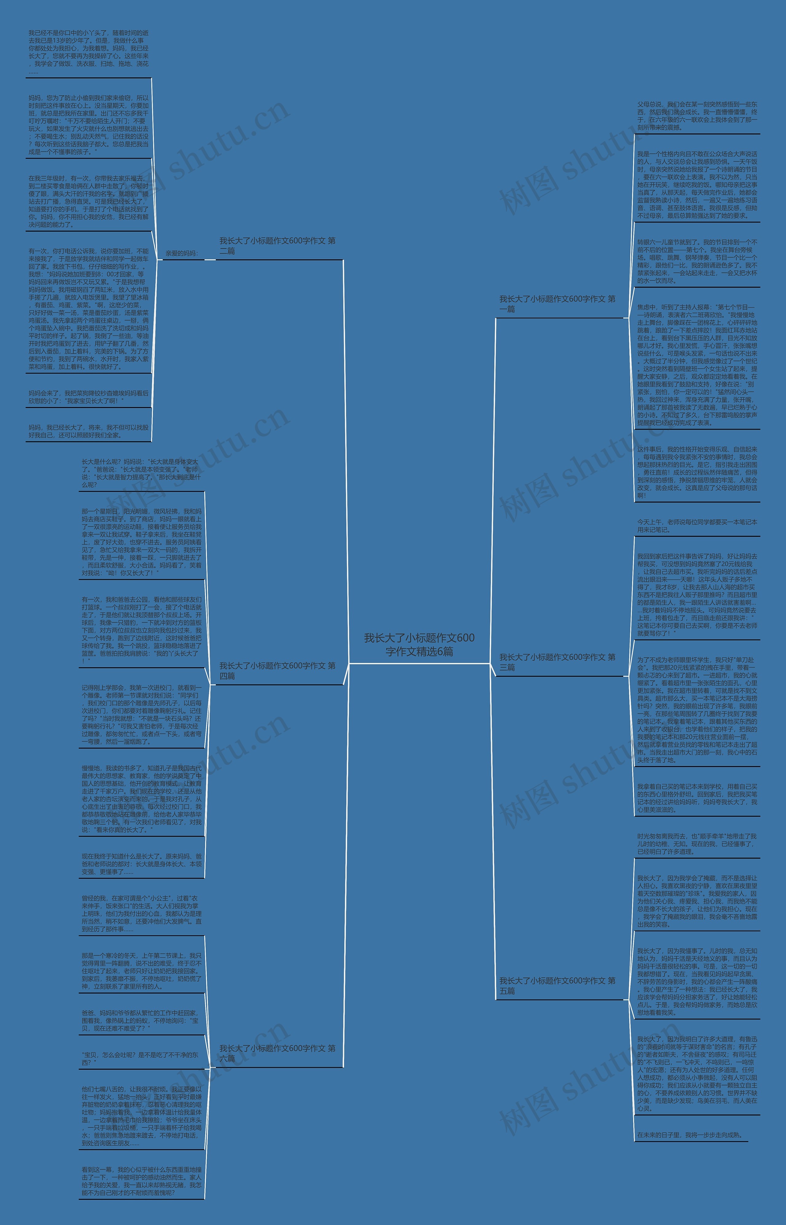 我长大了小标题作文600字作文精选6篇思维导图