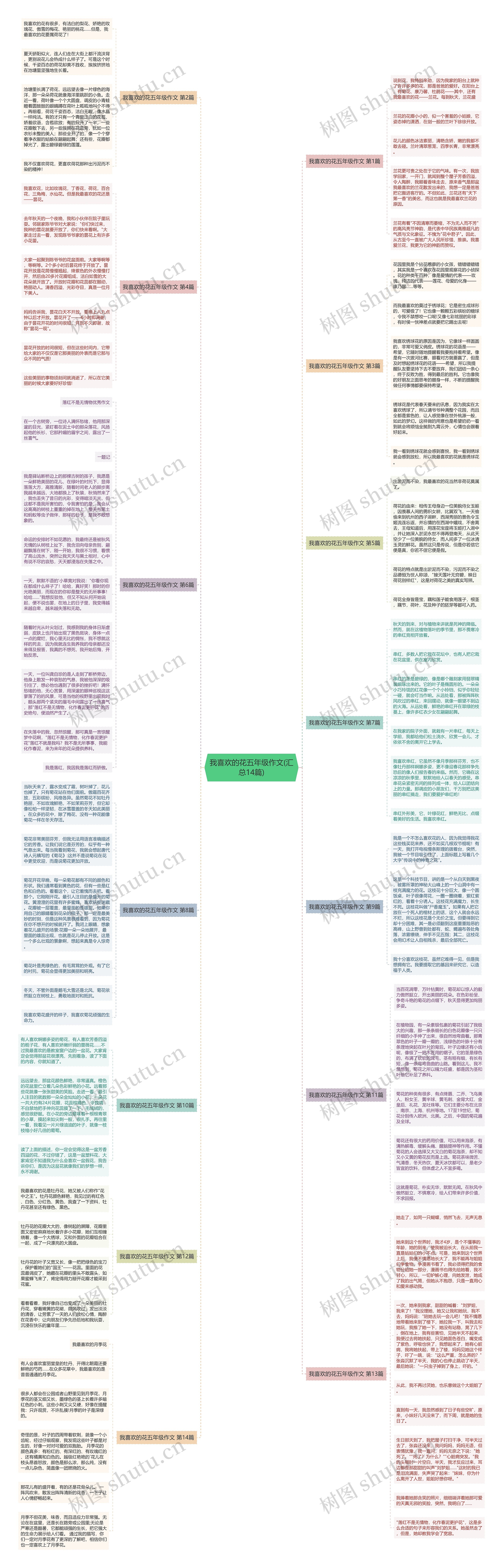 我喜欢的花五年级作文(汇总14篇)思维导图