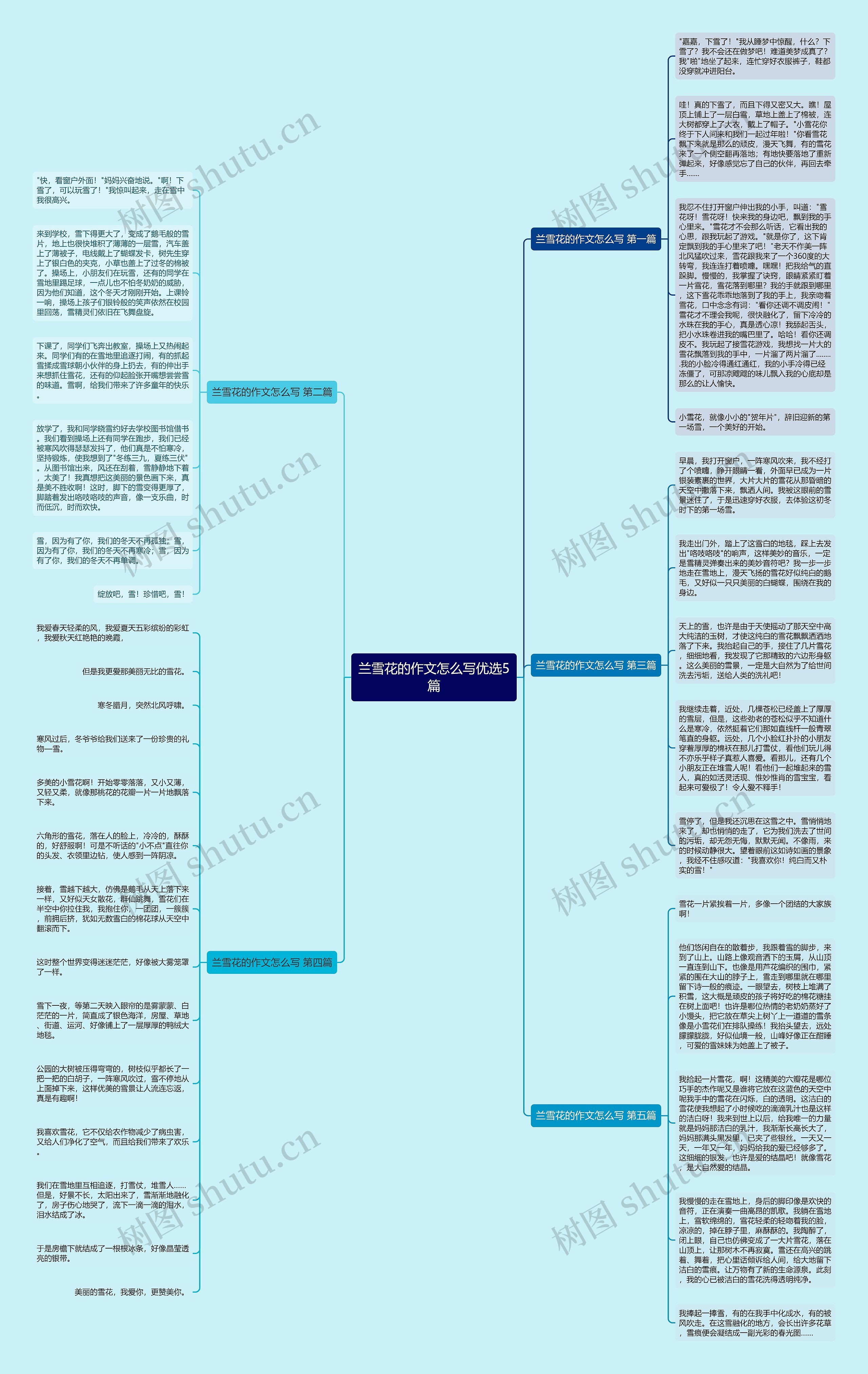 兰雪花的作文怎么写优选5篇 兰雪花的作文怎么写优选5篇